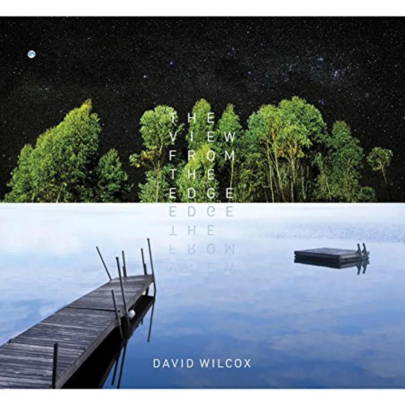 David Wilcox VIEW FROM THE EDGE CD