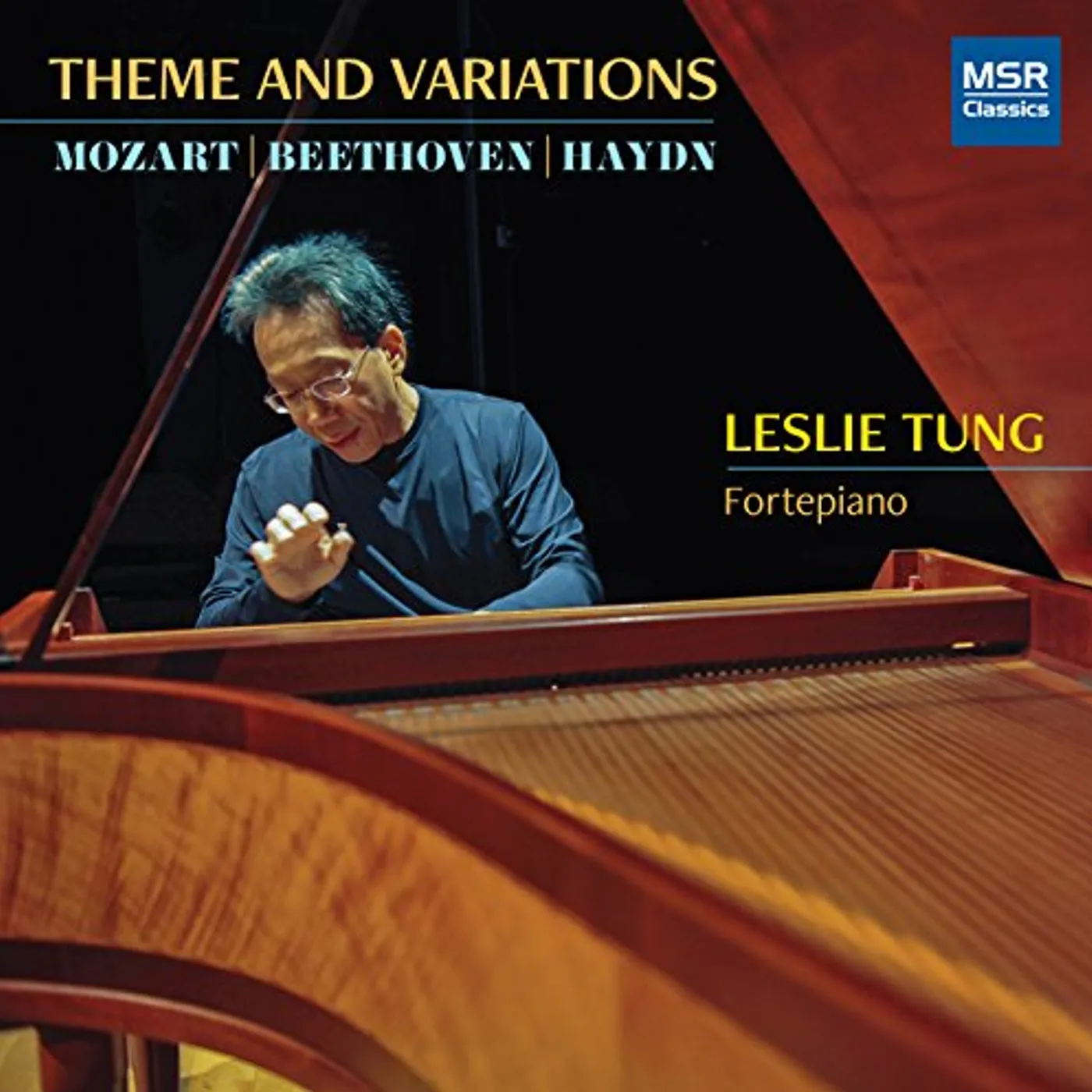 Tung THEME & VARIATIONS CD