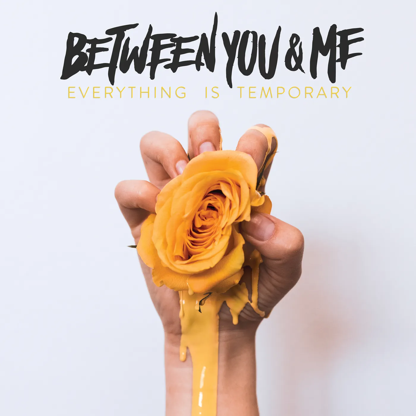 Between You & Me EVERYTHING IS TEMPORARY CD