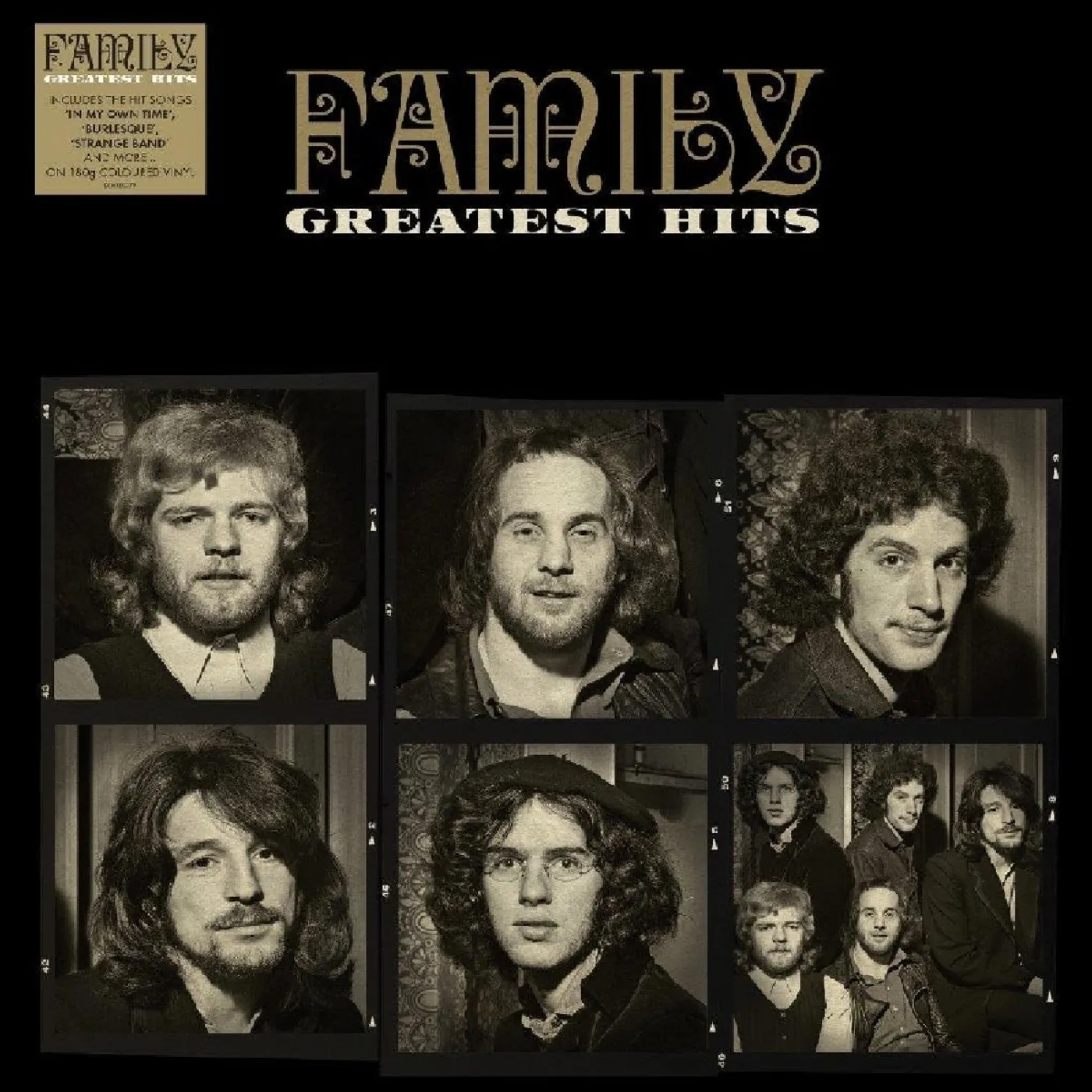 Family GREATEST HITS Vinyl Record