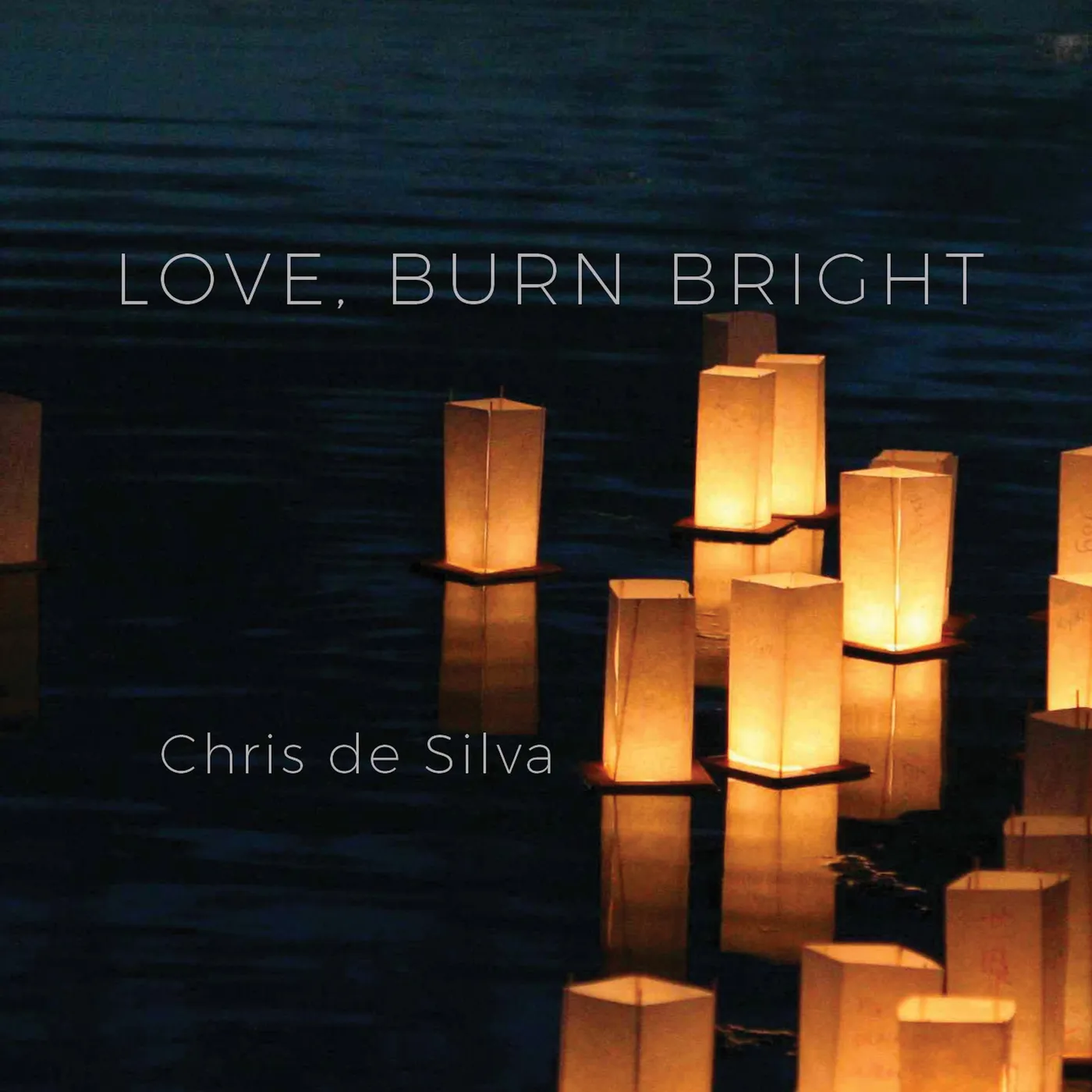 Chris de Silva LOVE BURN BRIGHT CD