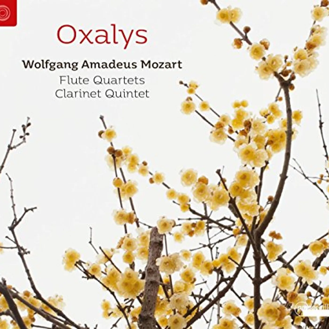 Wolfgang Amadeus Mozart FLUTE QUARTETS & CLARINET QUINTETS CD
