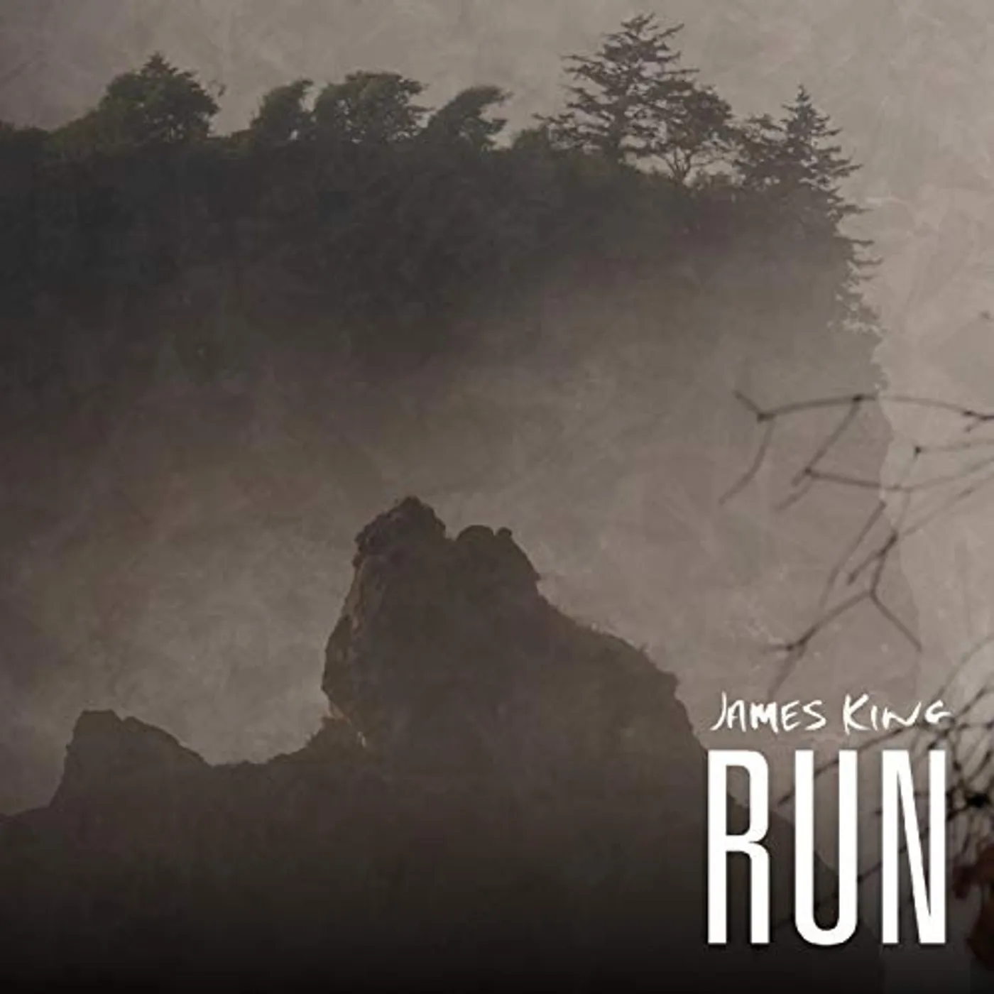 James King RUN CD