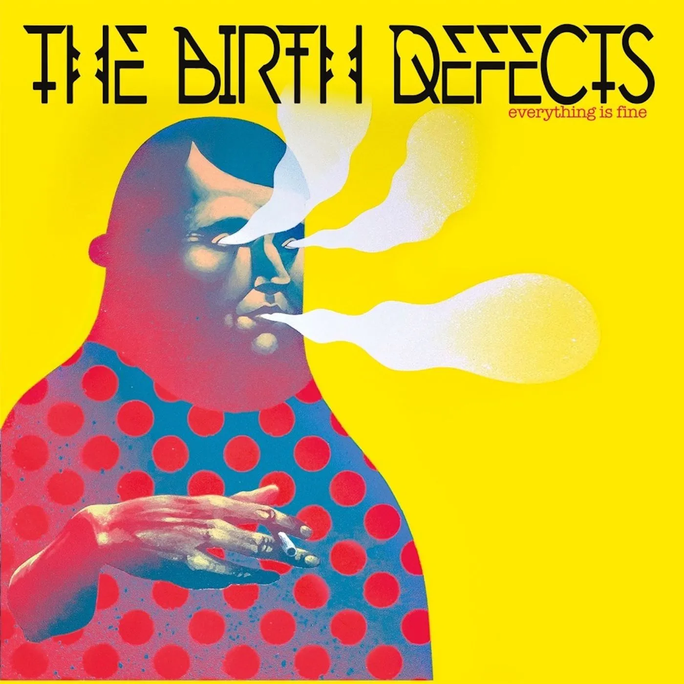 The Birth Defects Everything Is Fine Vinyl Record