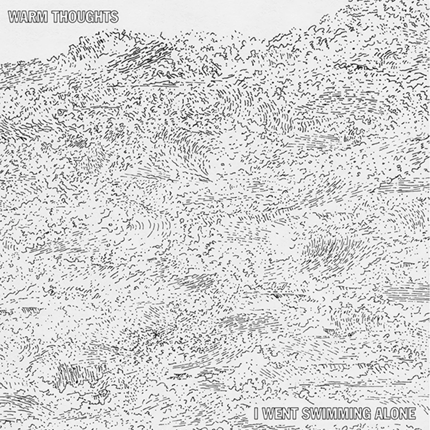 Warm Thoughts I Went Swimming Alone Vinyl Record
