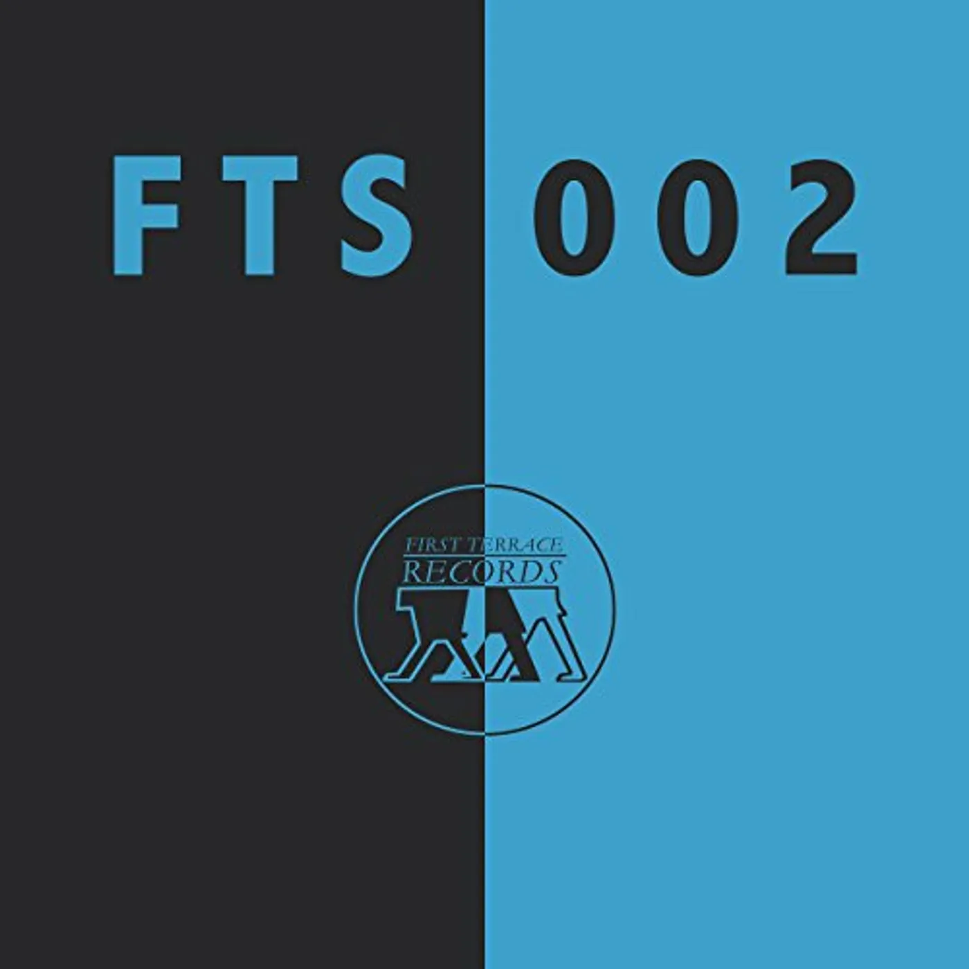 Fts002 CHIHEI HATAKEYAMA / VIDA VOJIC Vinyl Record