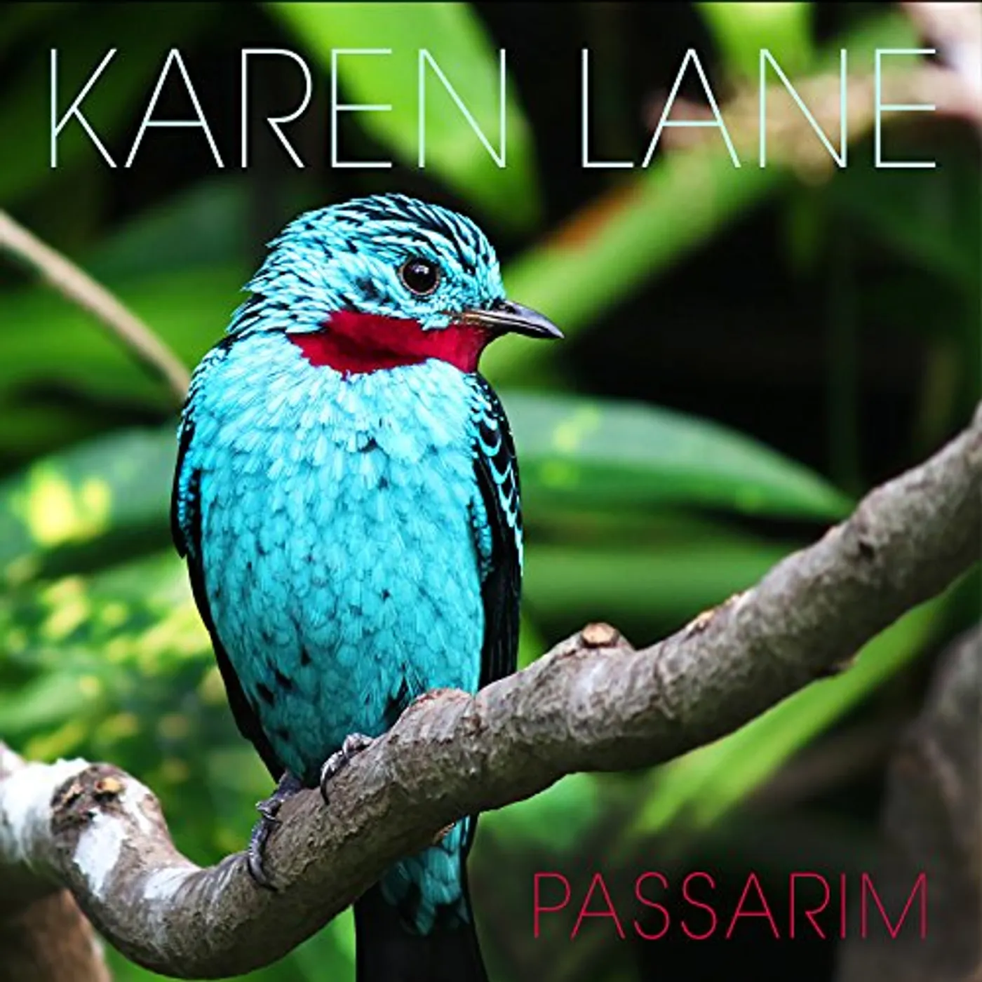 Karen Lane PASSARIM CD