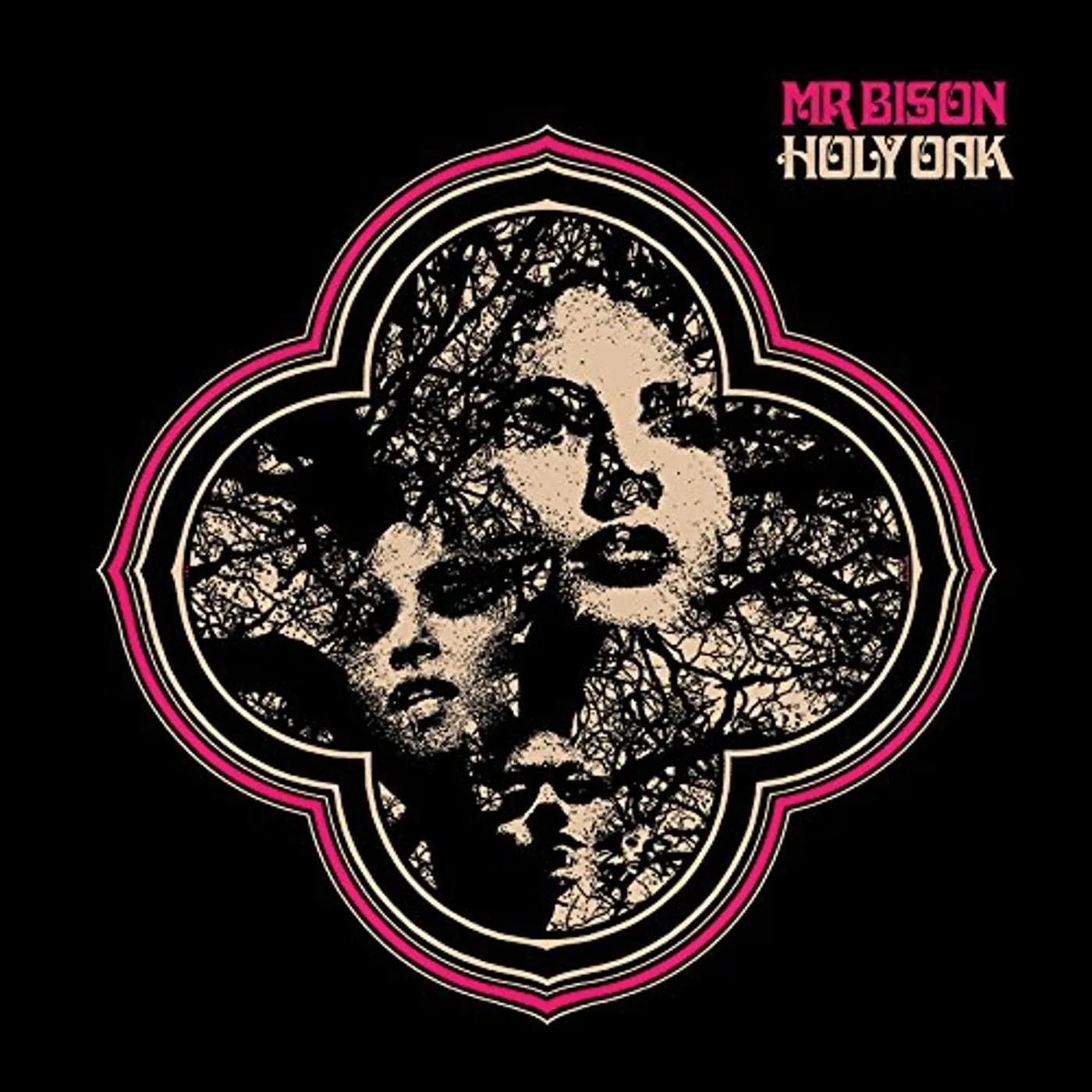 Mr. Bison HOLY OAK CD
