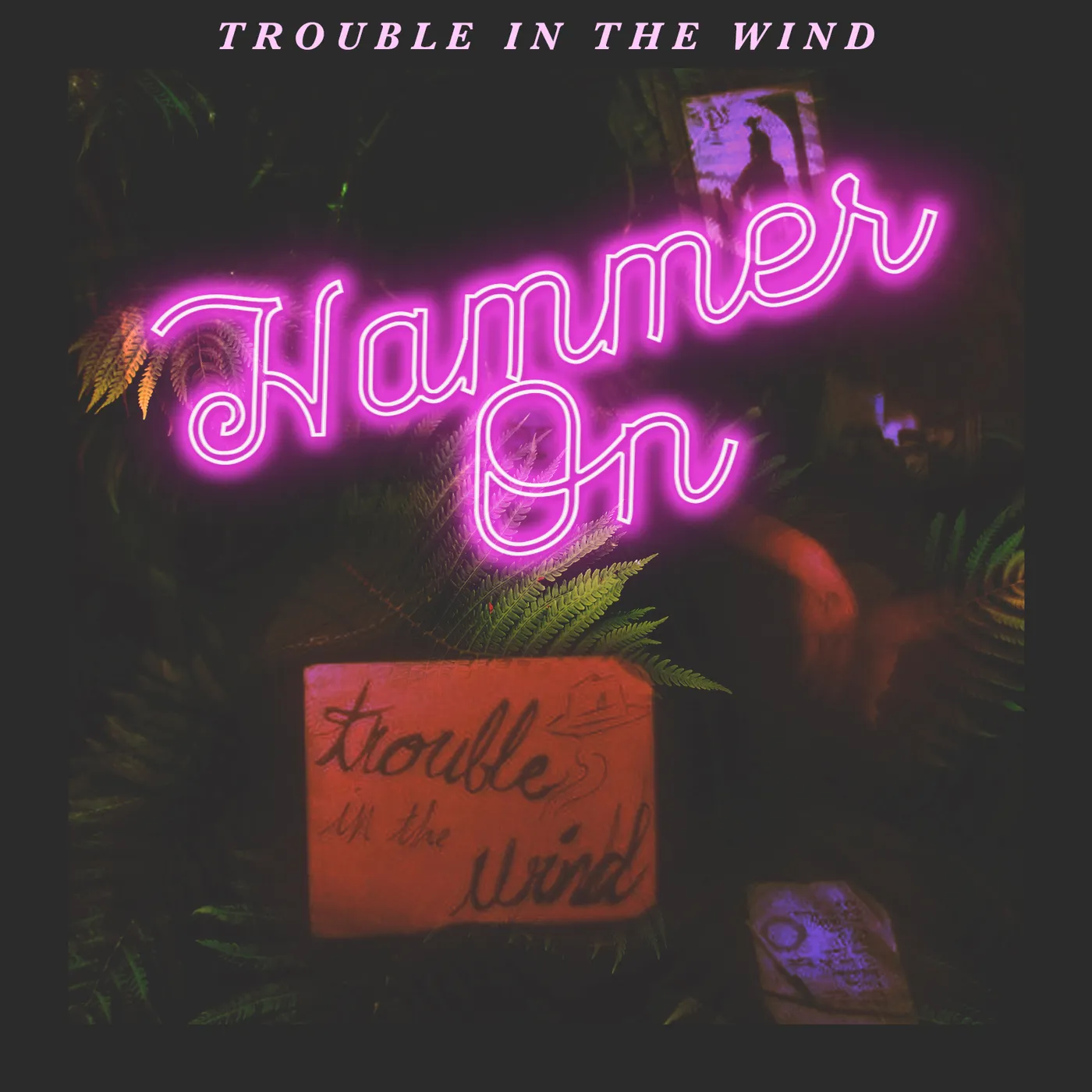 Trouble in the Wind Hammer On Vinyl Record