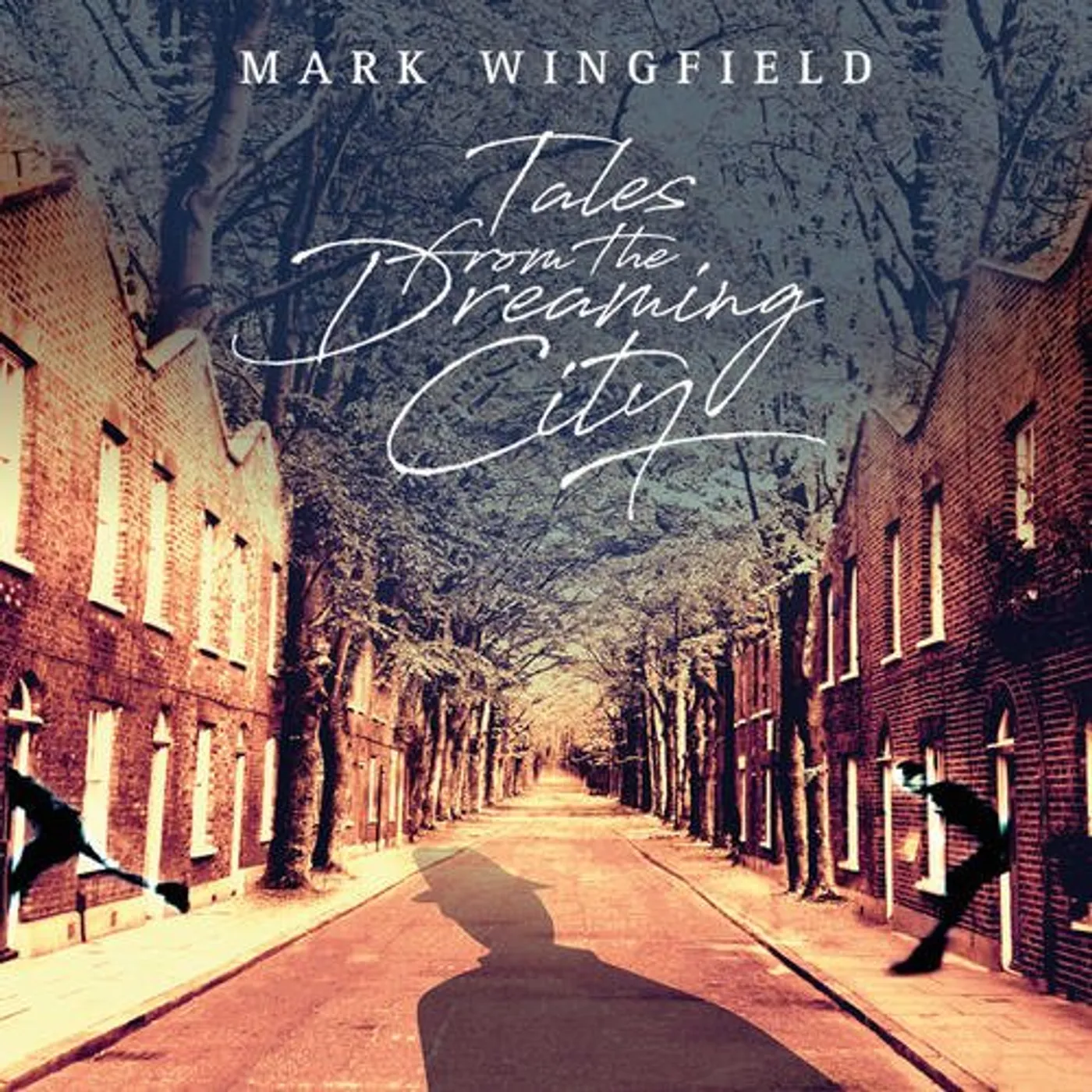 Mark Wingfield TALES FROM THE DREAMING CITY CD