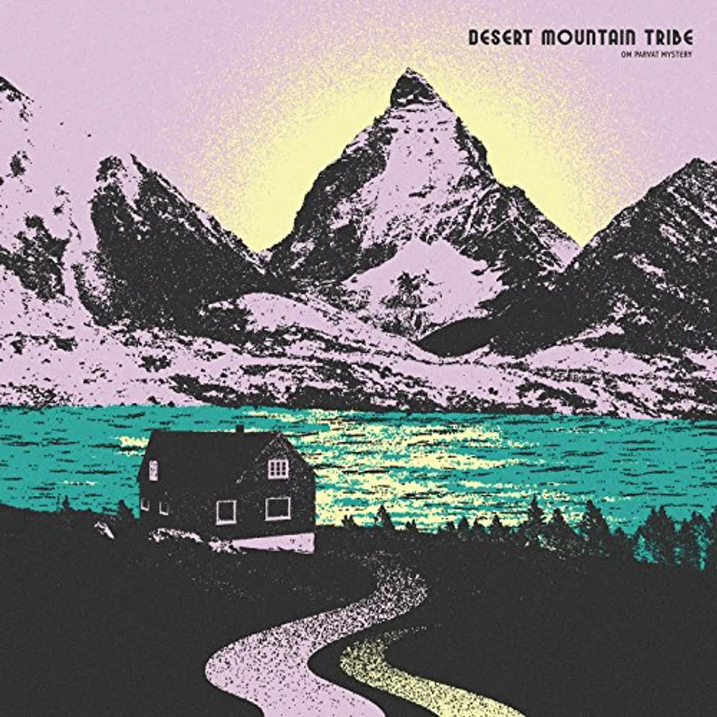 Desert Mountain Tribe Om Parvat Mystery Vinyl Record