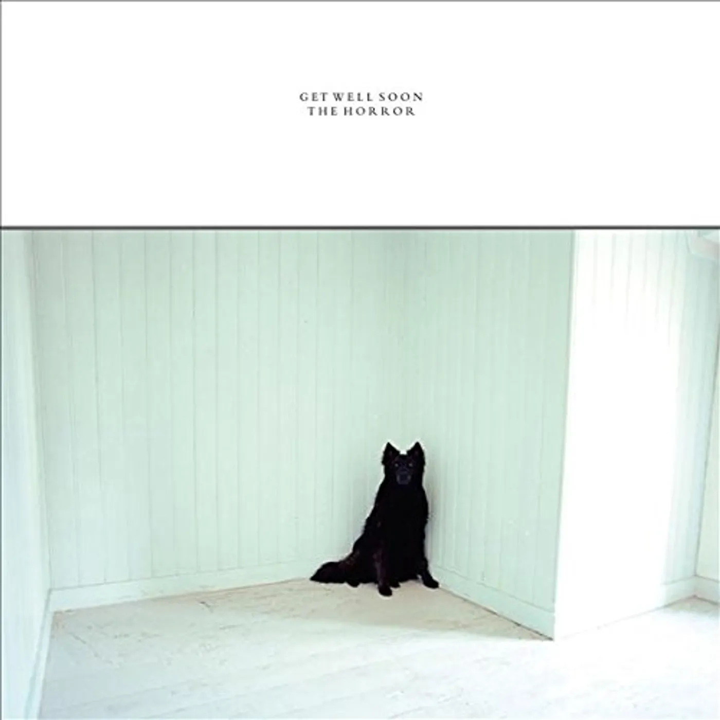 Get Well Soon HORROR CD