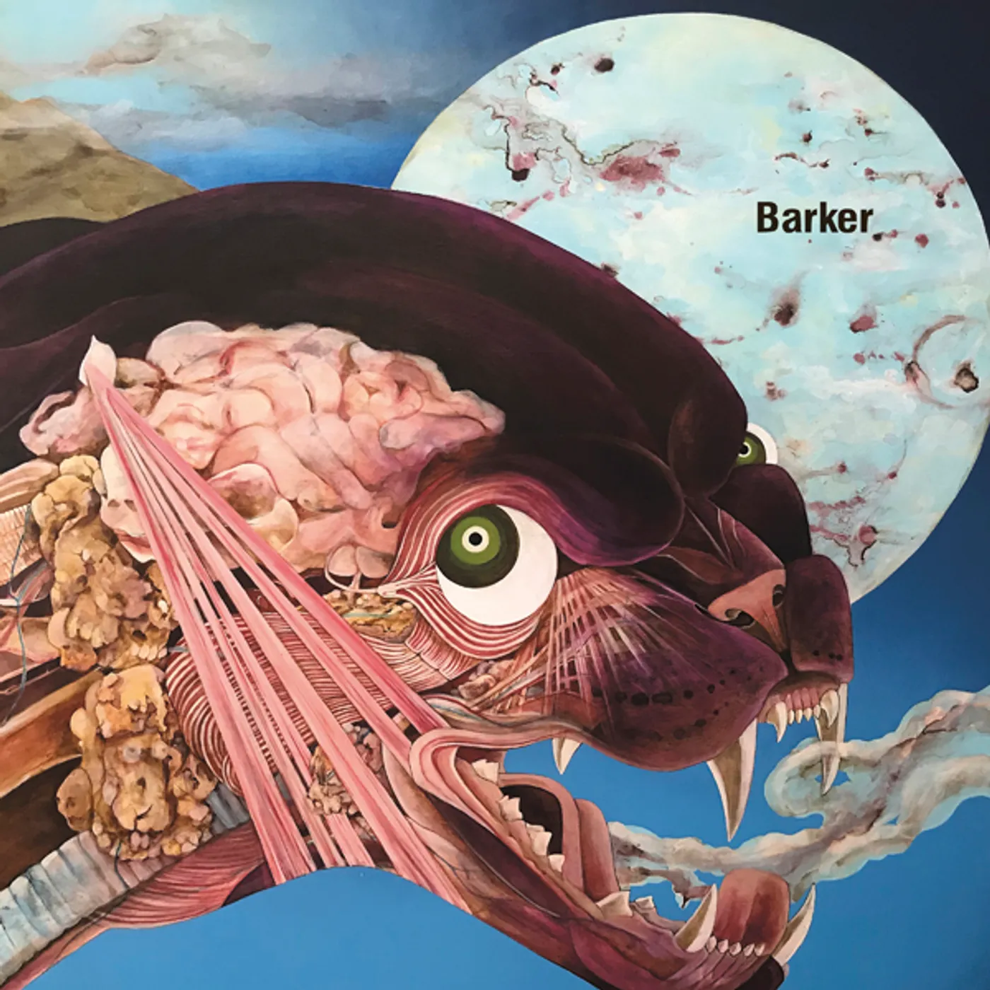 Barker Debiasing Vinyl Record
