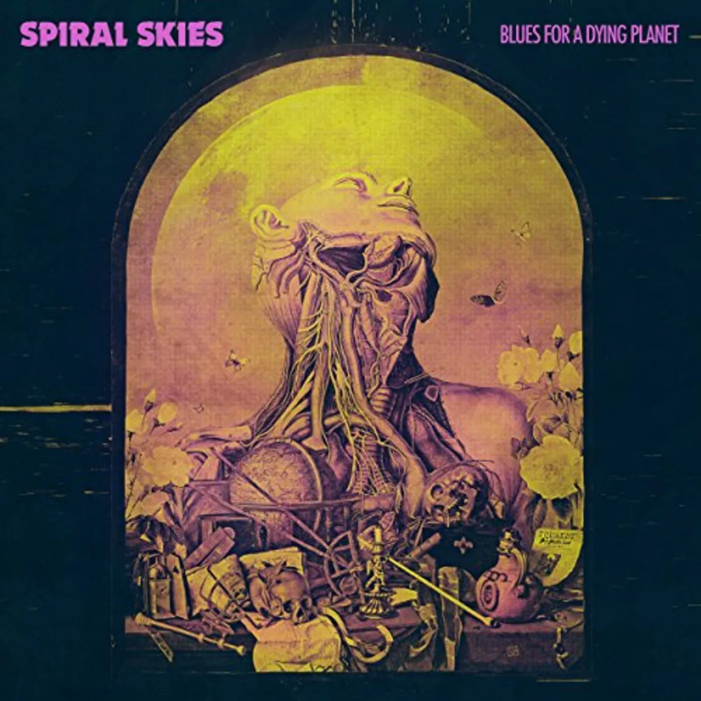 Spiral Skies BLUES FOR A DYING PLANET CD