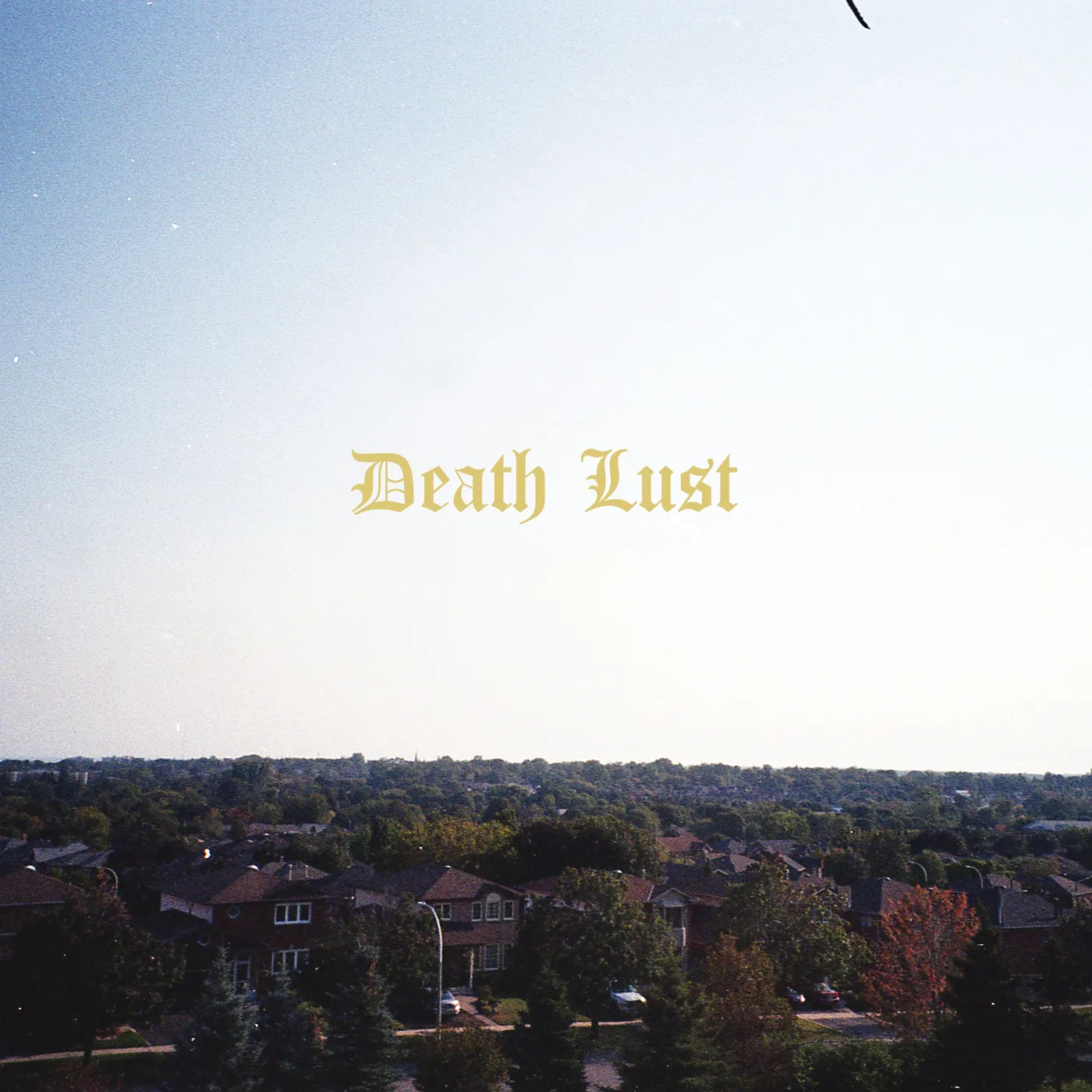 Chastity Death Lust Vinyl Record