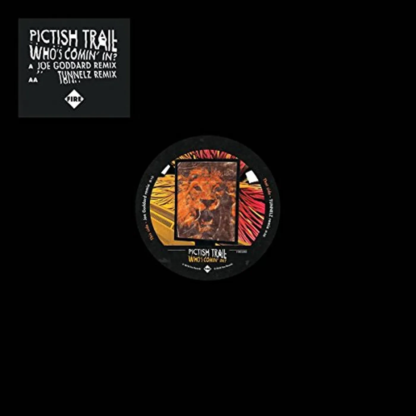 Pictish Trail WHO'S COMIN' IN Vinyl Record