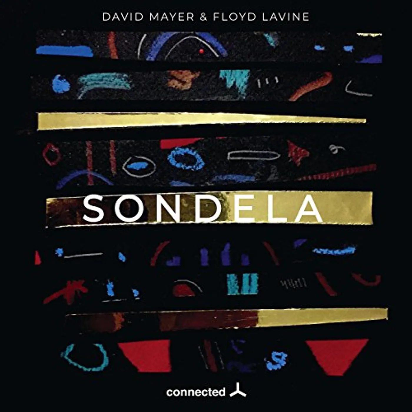 David Mayer & Floyd Lavine CONNECTED Vinyl Record