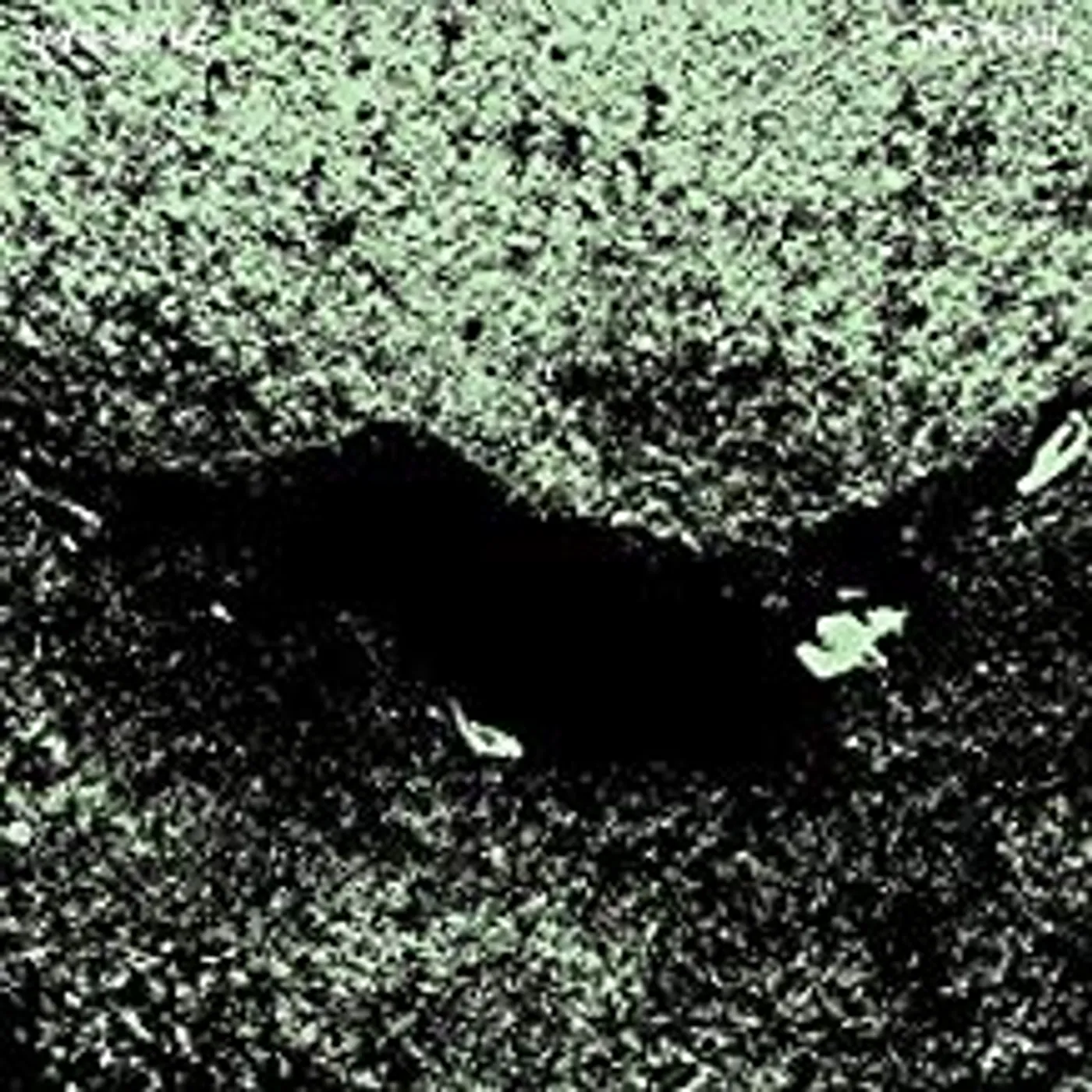 Jaye Jayle No Trail and Other Unholy Paths Vinyl Record