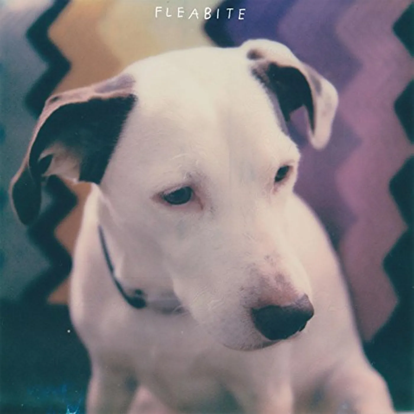 fleaBITE NVM (DL CODE) Vinyl Record