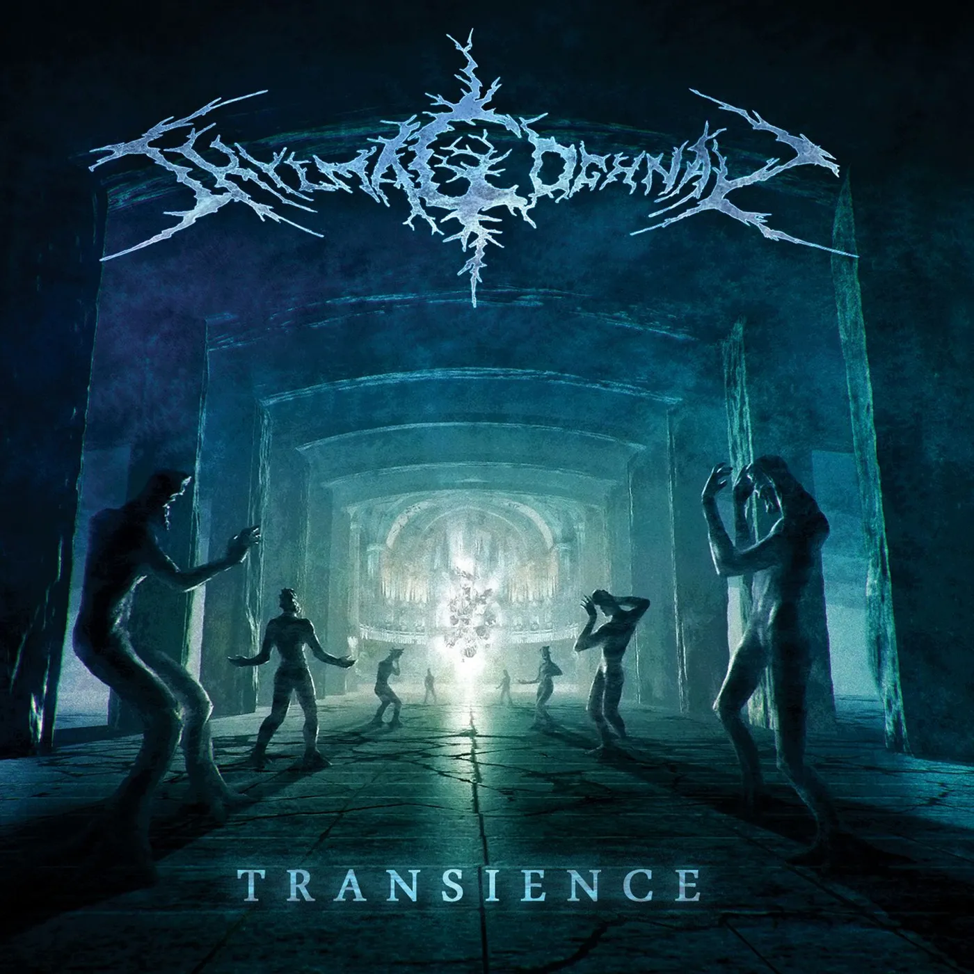 Shylmagoghnar Transience Vinyl Record