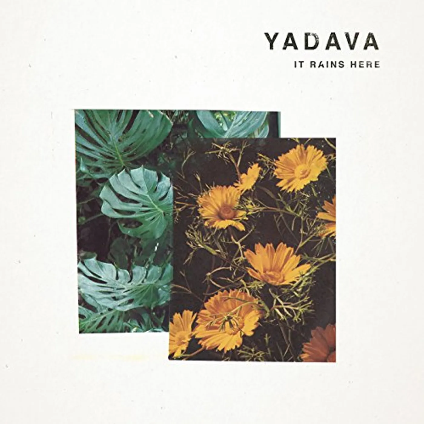 Yadava It Rains Here Vinyl Record