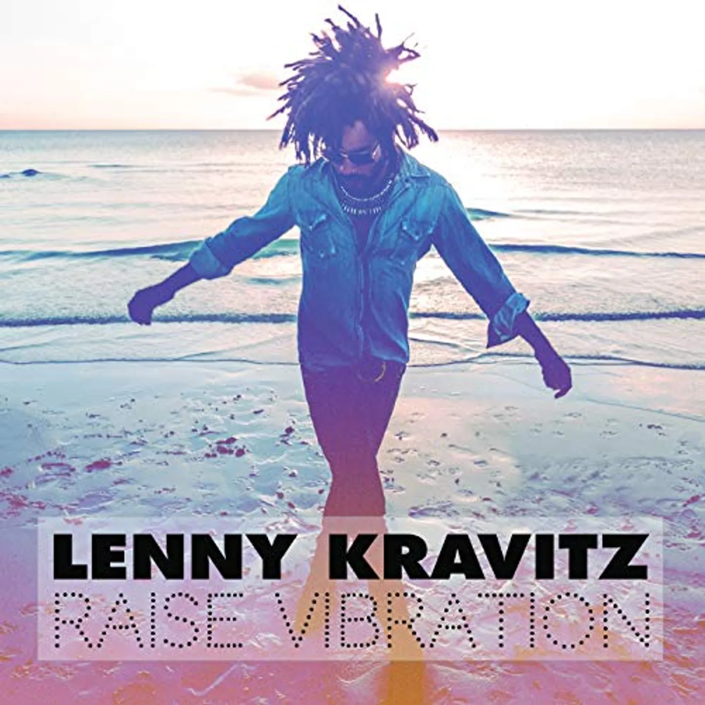 Lenny Kravitz RAISE VIBRATION CD