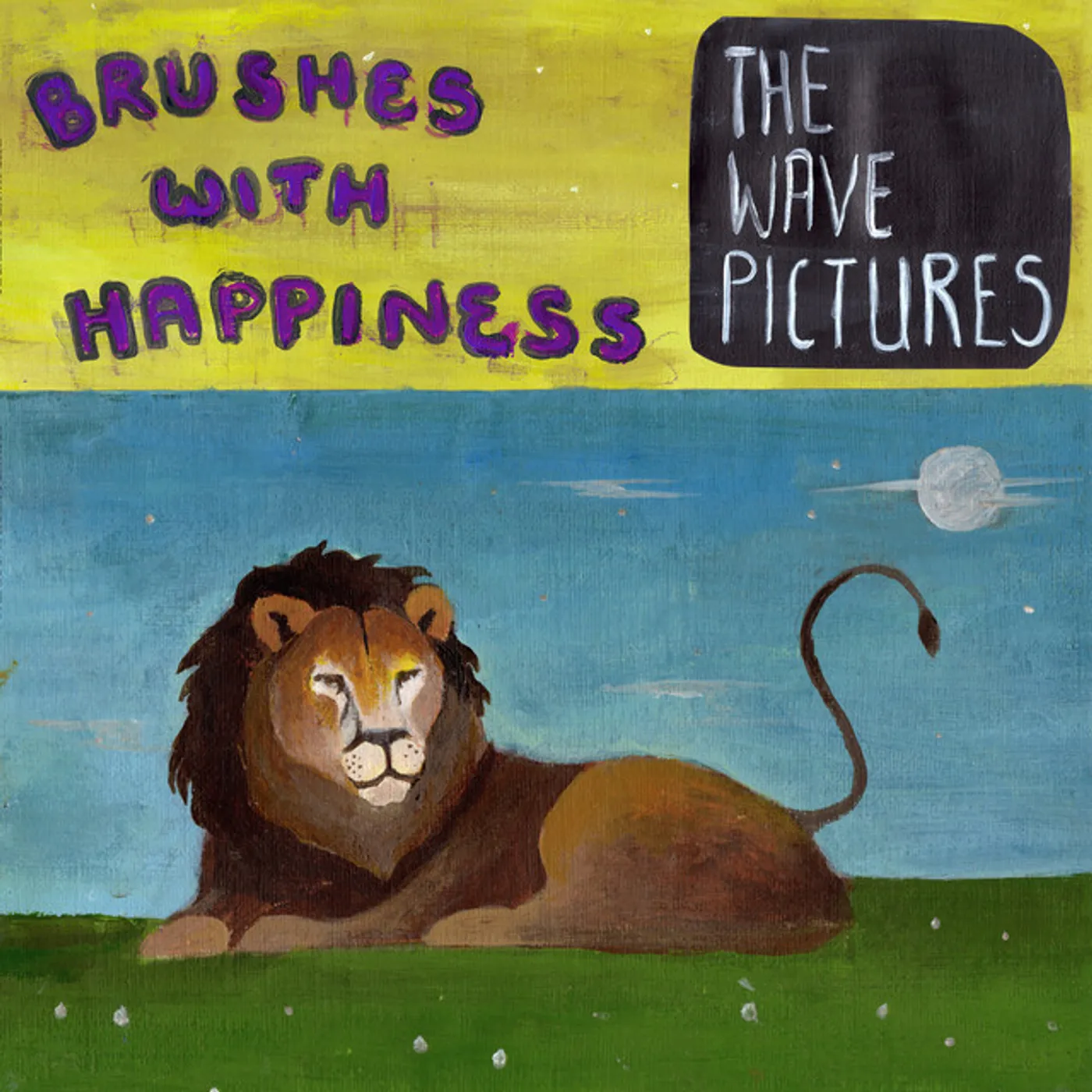 The Wave Pictures Brushes With Happiness Vinyl Record