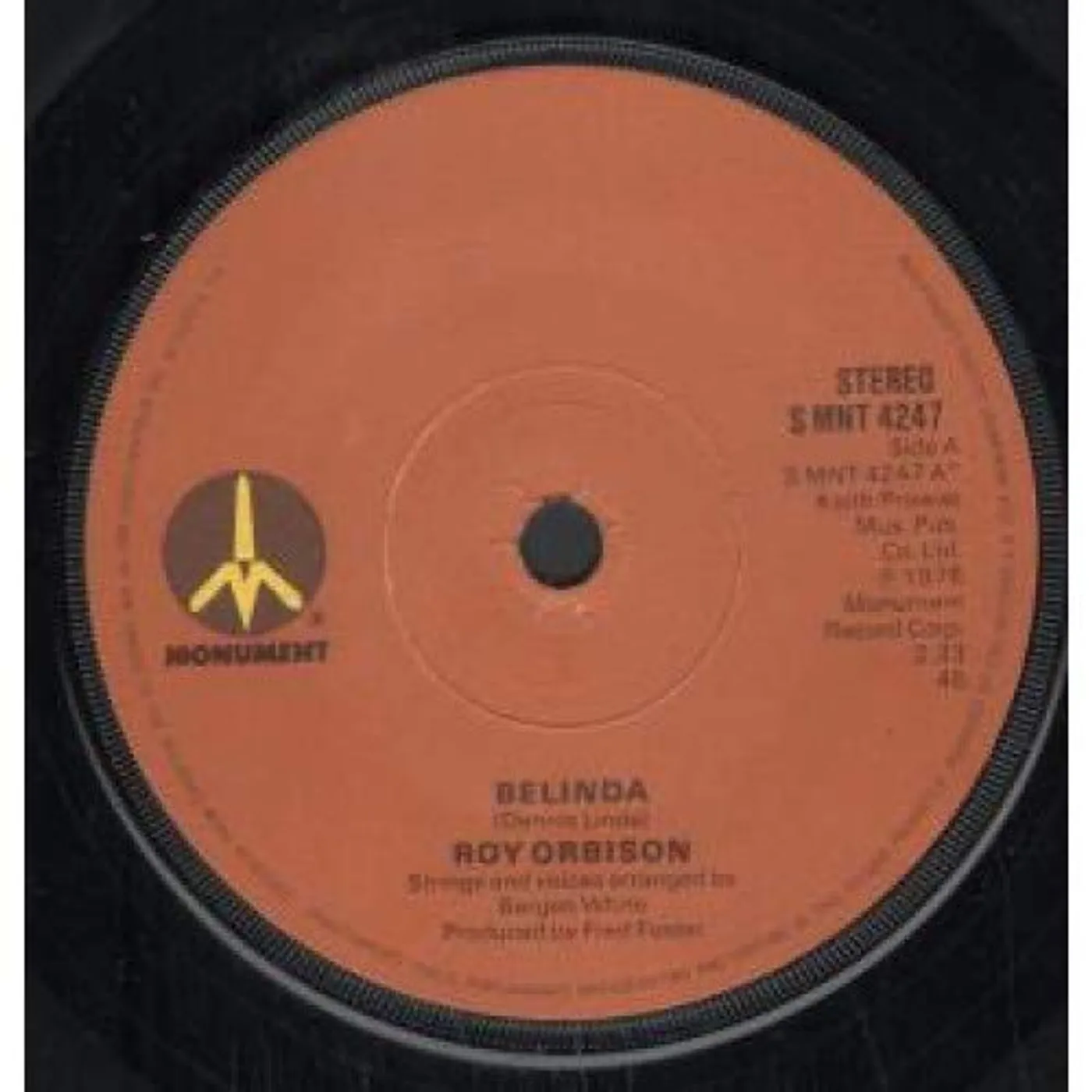 The Mystery Lights THICK SKIN B/W IN THE DARKNESS Vinyl Record