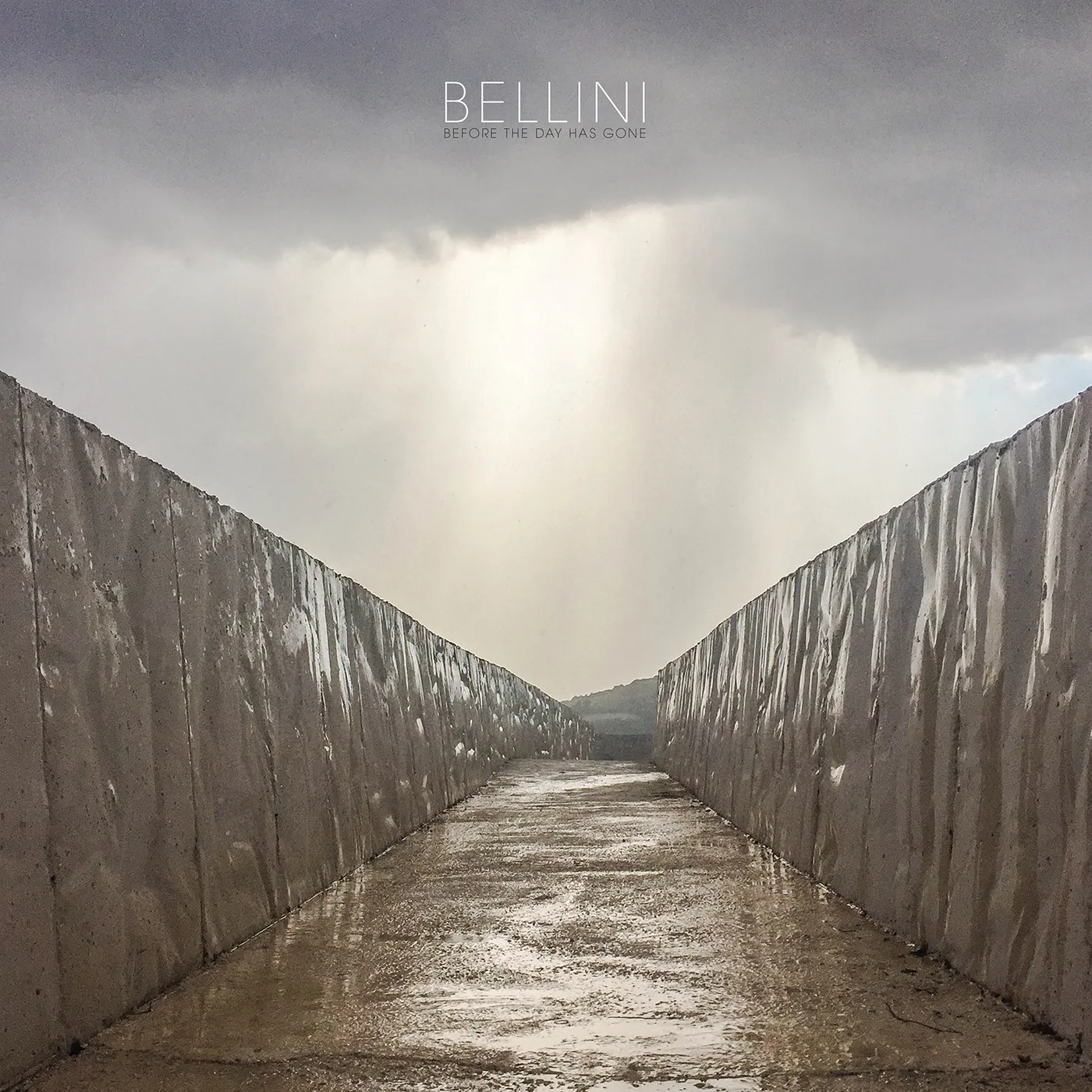 Bellini Before The Day Has Gone Vinyl Record