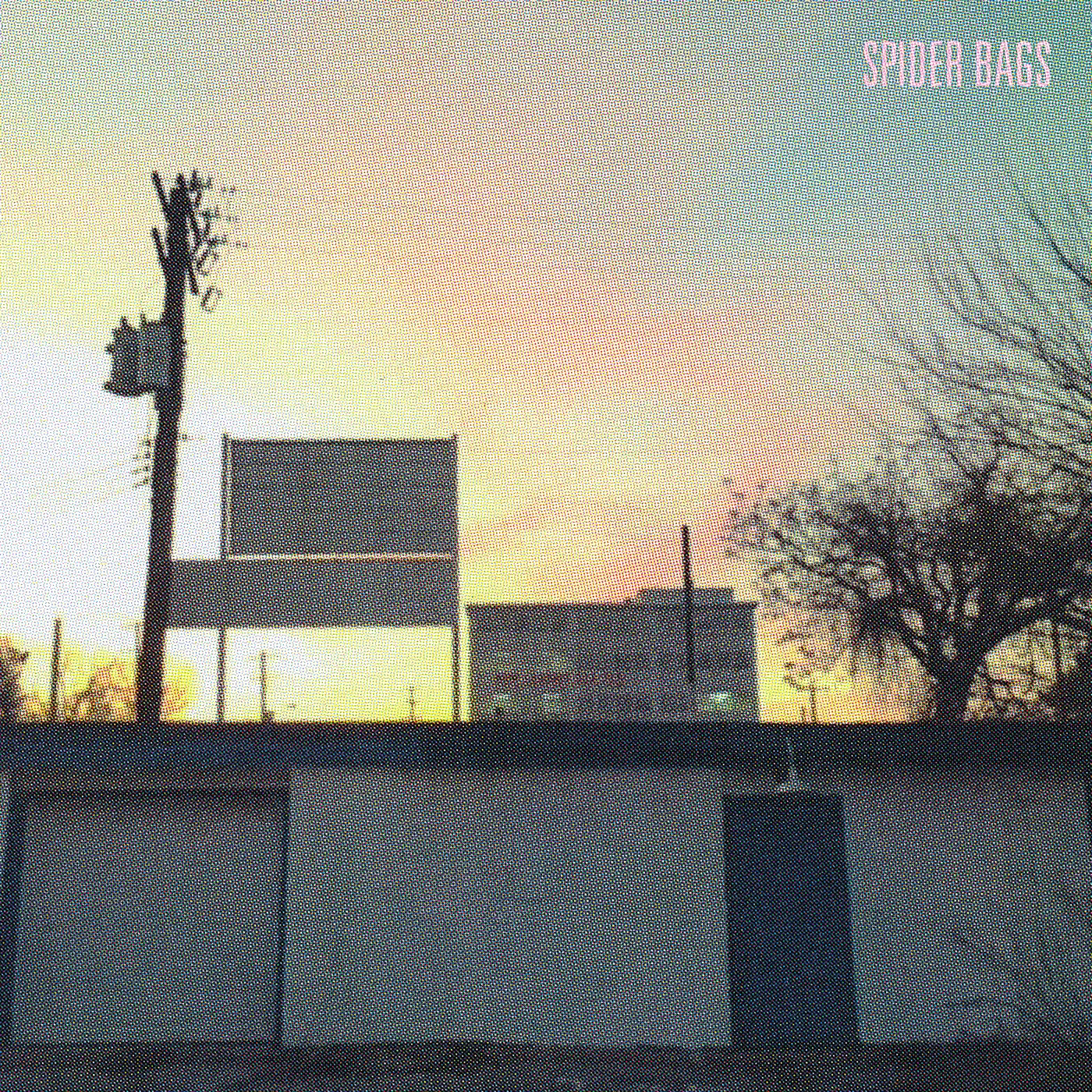 Spider Bags Someday Everything Will Be Fine Vinyl Record