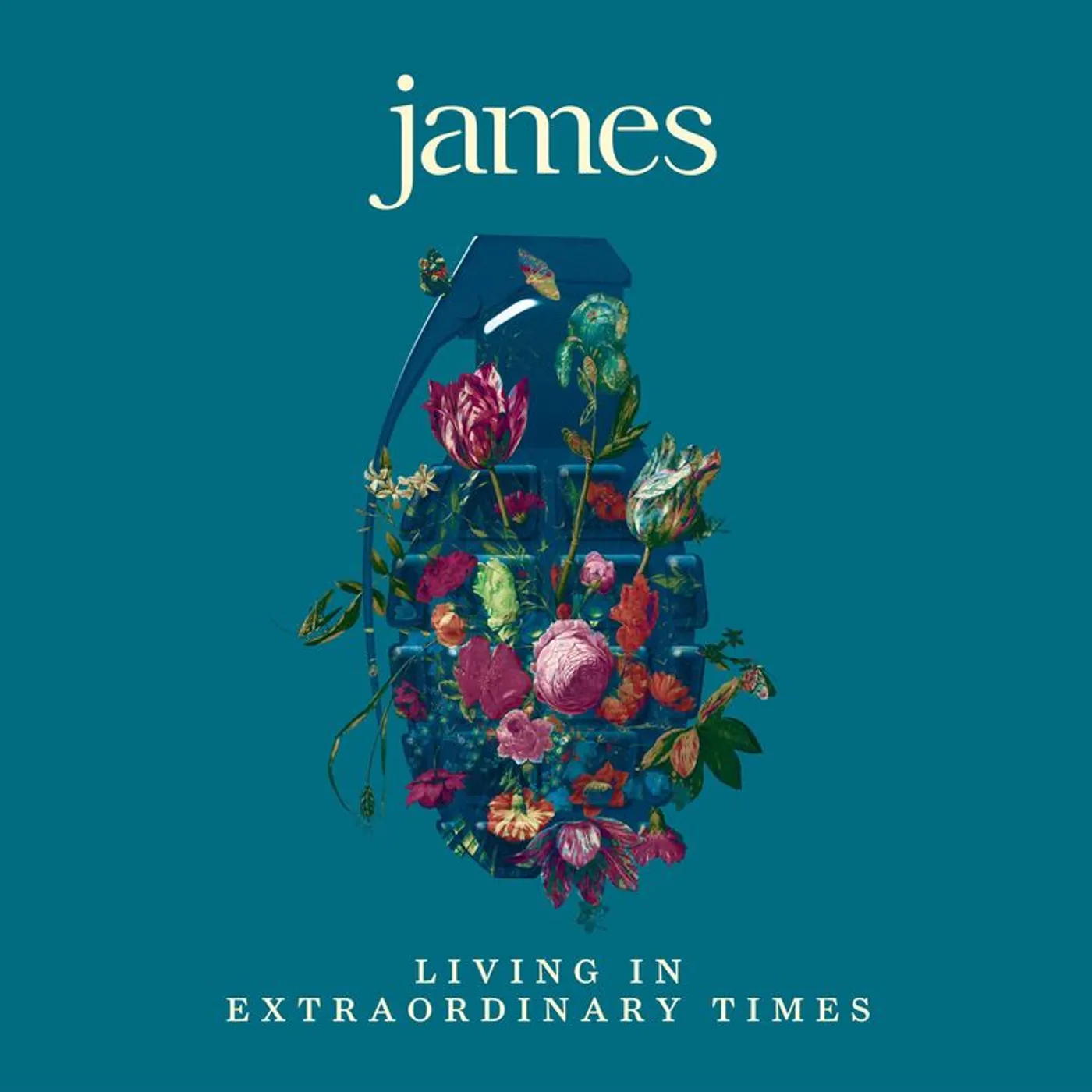 James LIVING IN EXTRAORDINARY TIMES (2LP) Vinyl Record