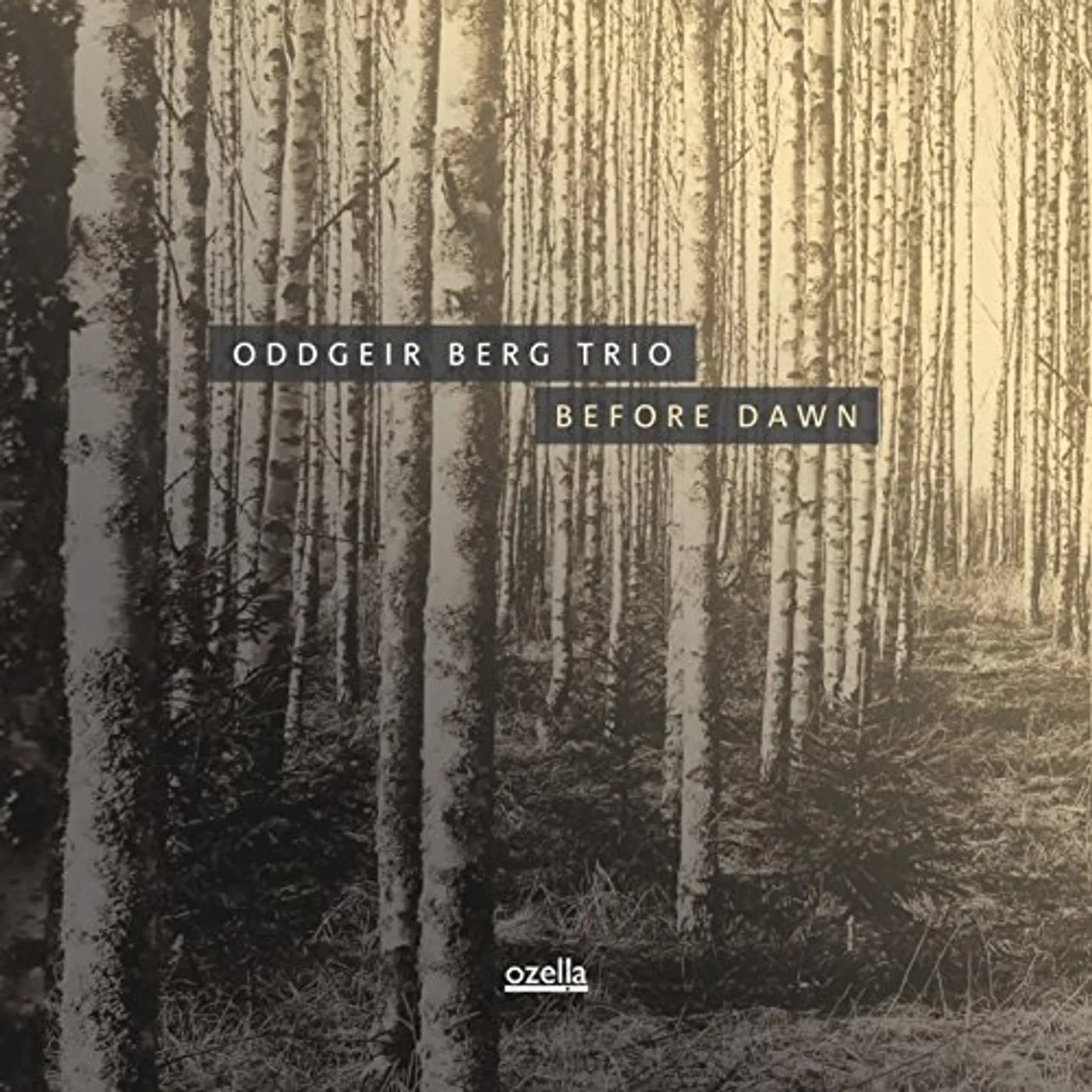 Oddgeir Berg Trio Before Dawn Vinyl Record