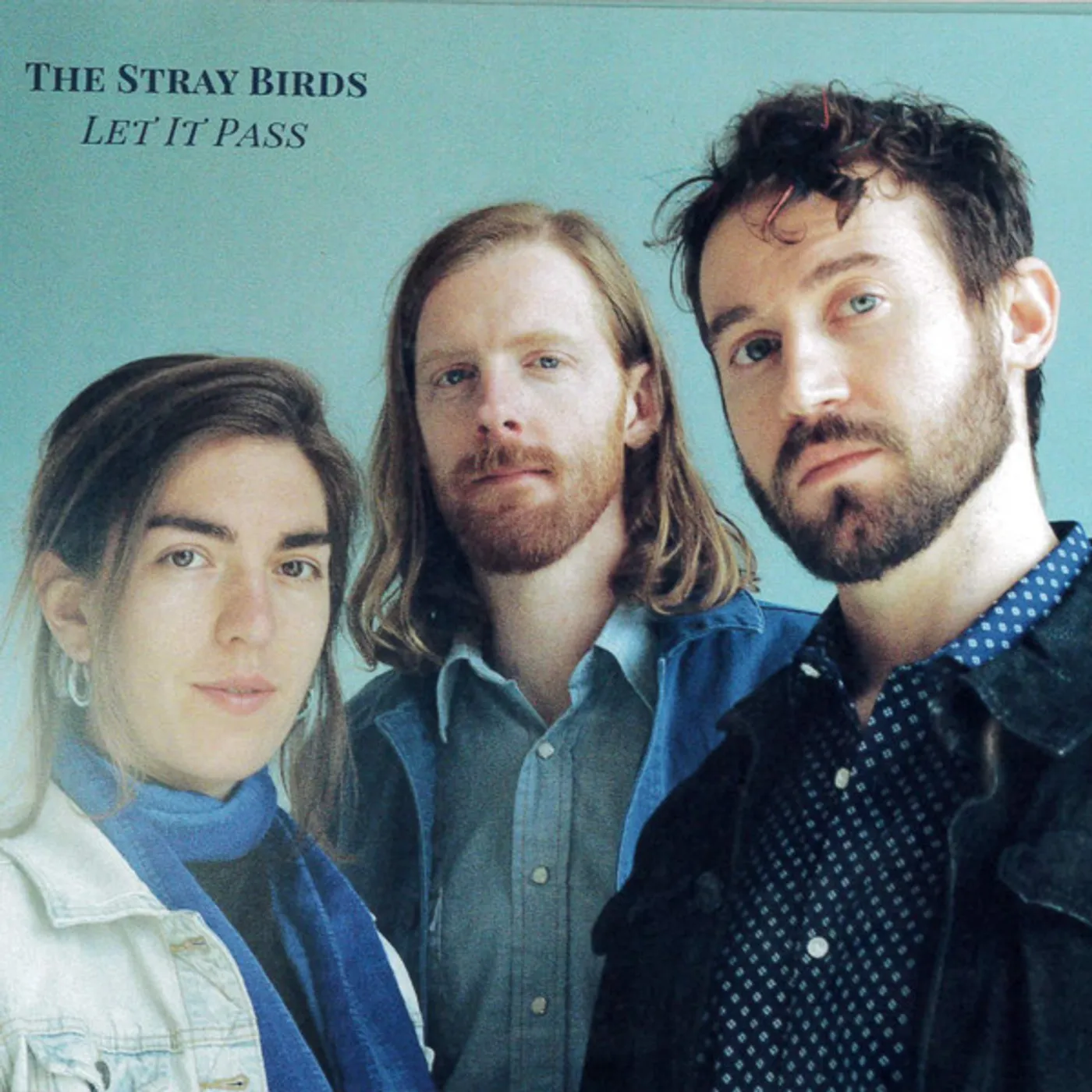 Stray Birds LET IT PASS Vinyl Record