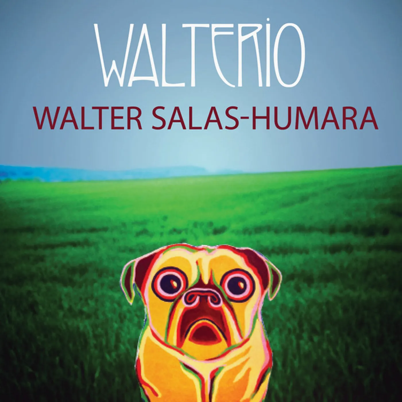 Walter Salas-Humara Walterio Vinyl Record