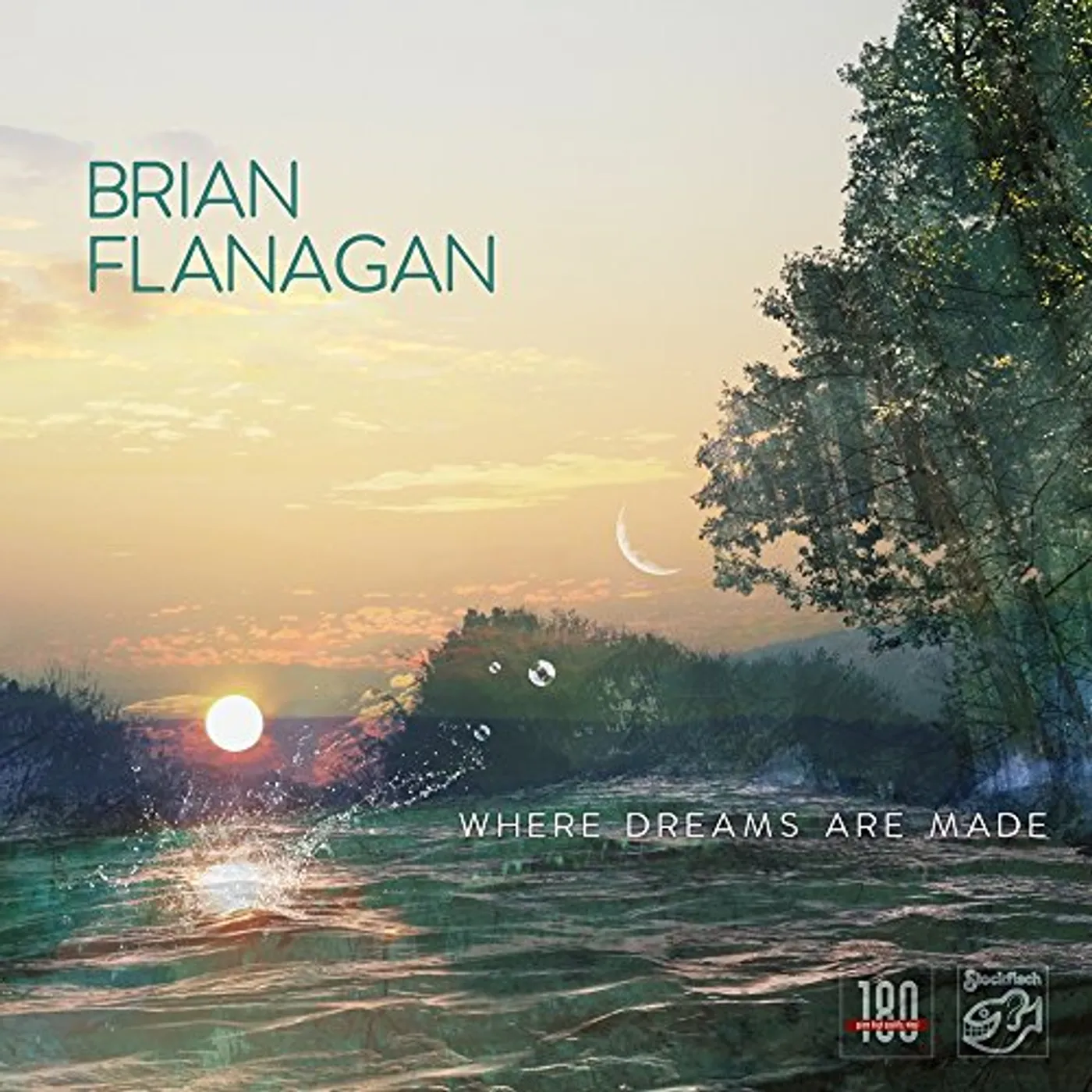 Brian Flanagan Where Dreams Are Made Vinyl Record