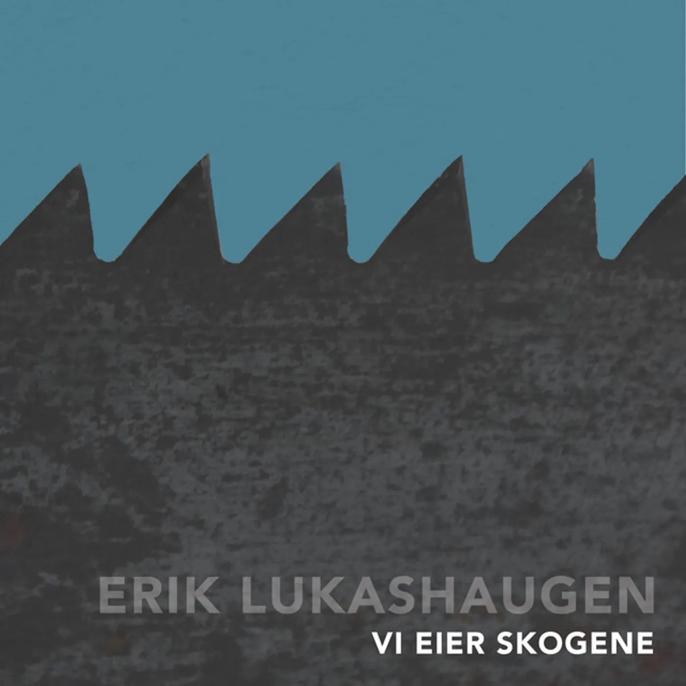 Erik Lukashaugen Vi eier skogene Vinyl Record
