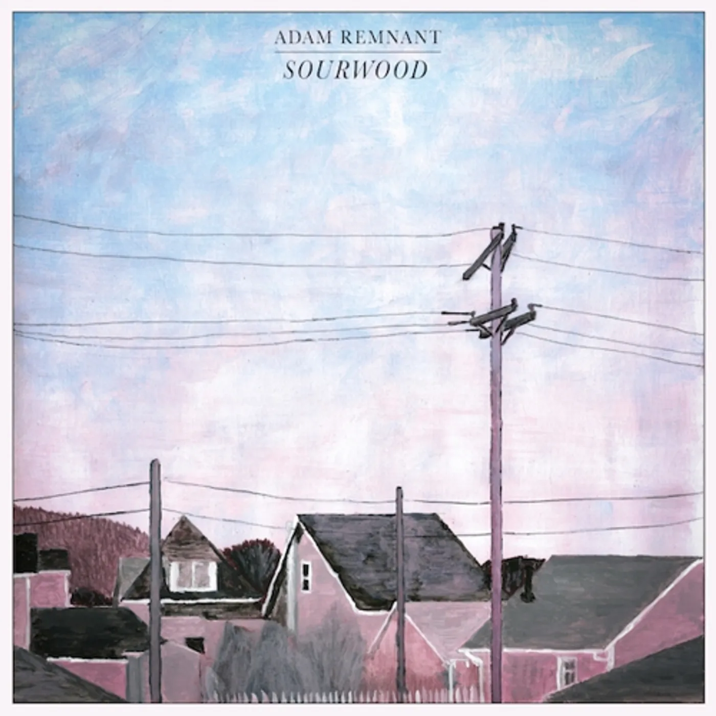 Adam Remnant Sourwood Vinyl Record