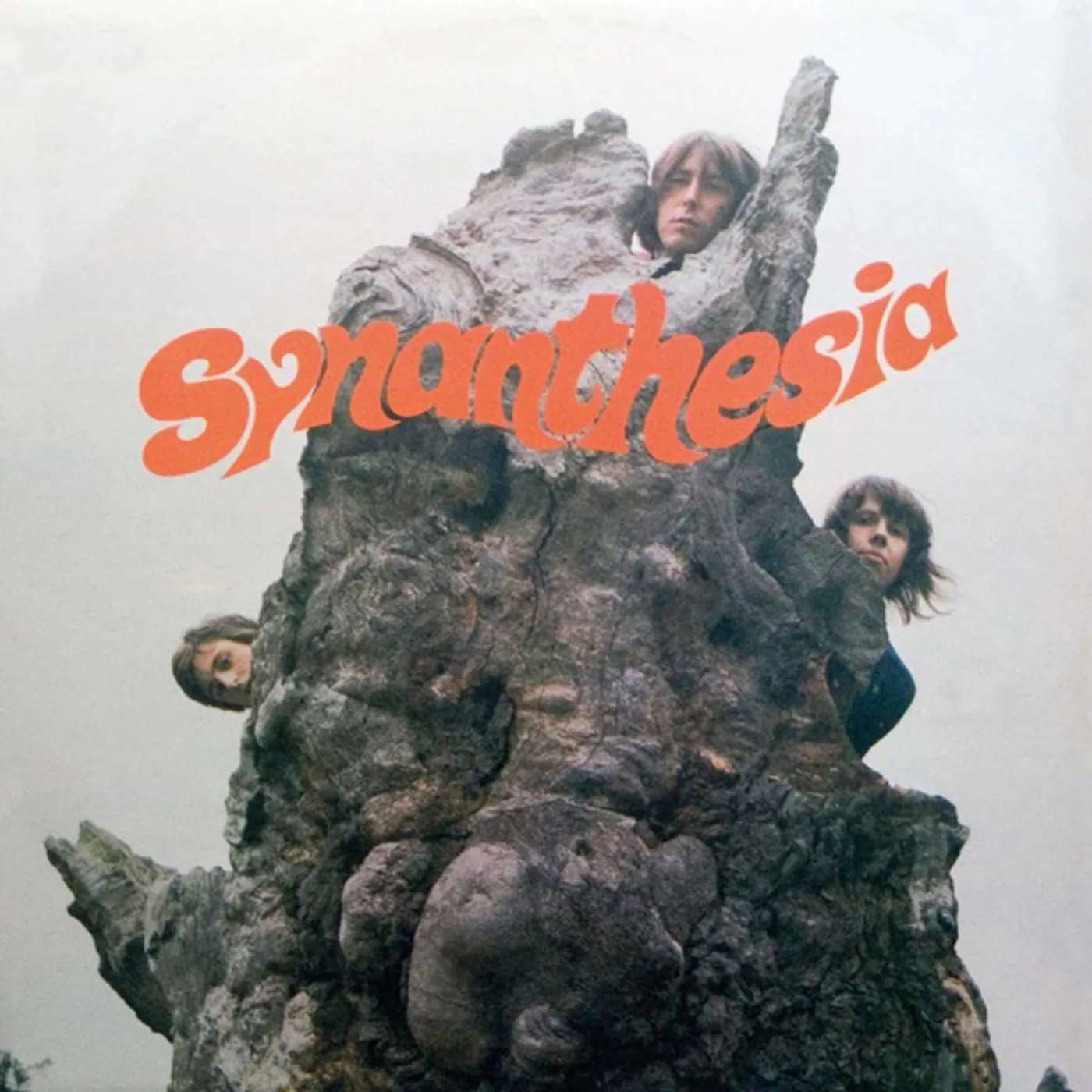 SYNANTHESIA CD
