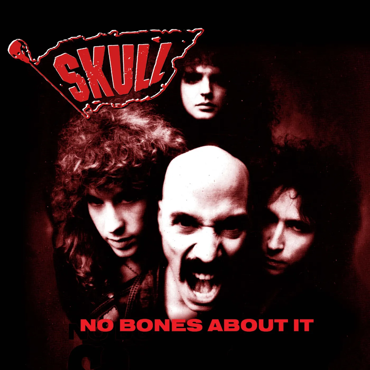 Skull NO BONES ABOUT IT CD
