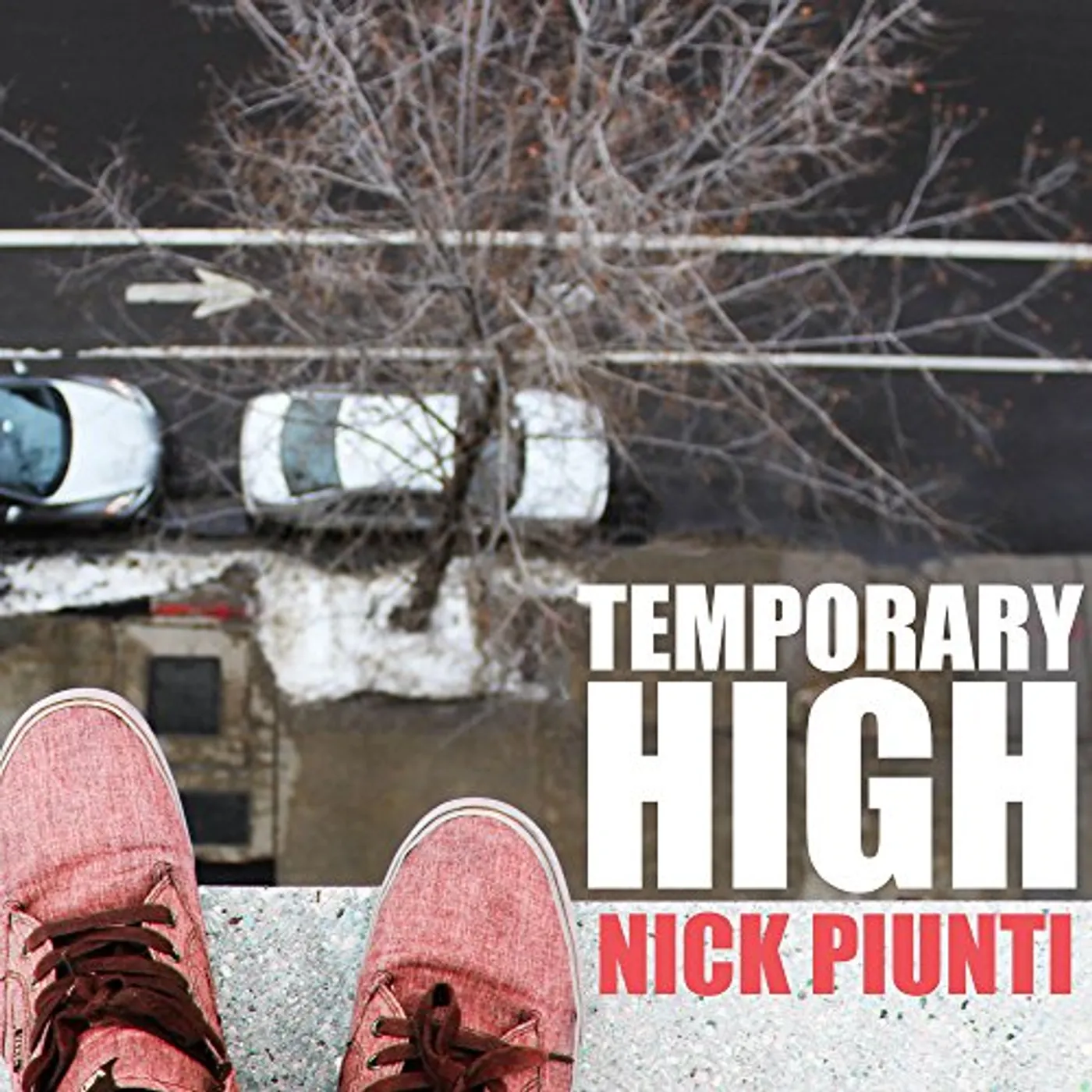Nick Piunti Temporary High Vinyl Record