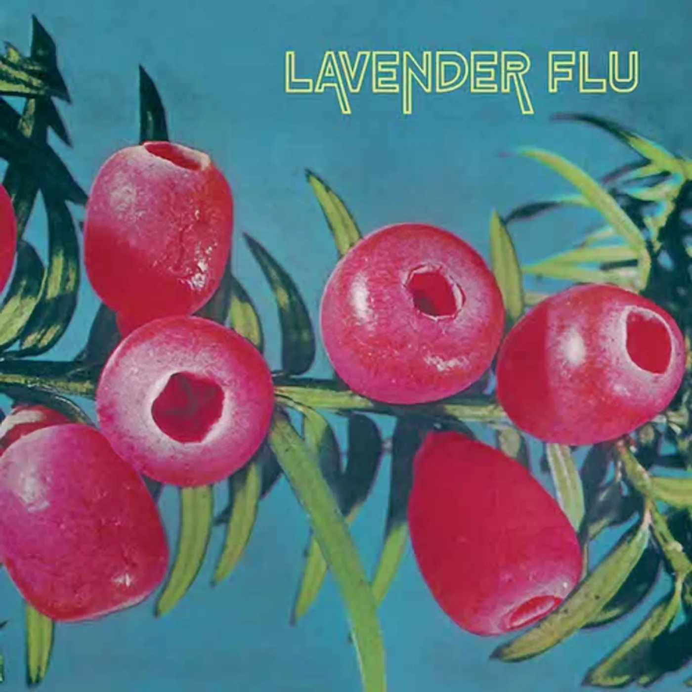 The Lavender Flu Mow the Glass Vinyl Record