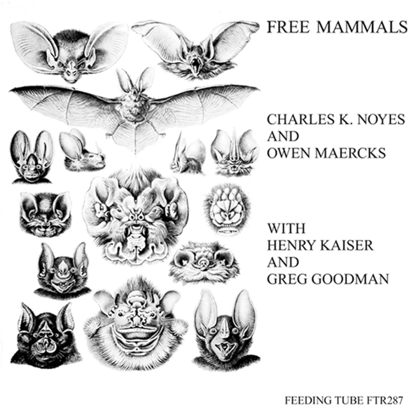 Charles K Noyes / Owen Maercks / Henry Kaiser Free Mammals Vinyl Record