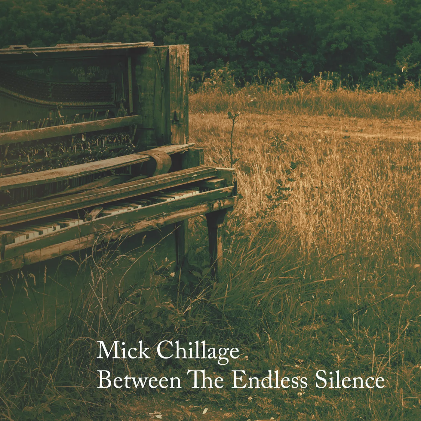 Mick Chillage BETWEEN THE ENDLESS SILENCE CD