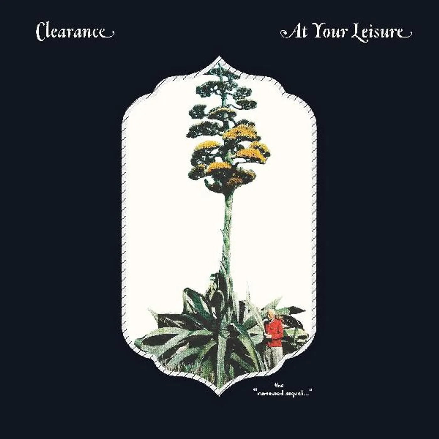 Clearance At Your Leisure Vinyl Record
