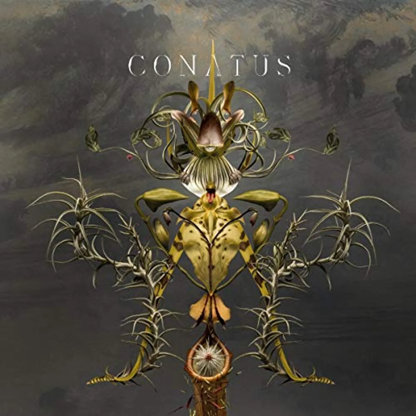 Joep Beving CONATUS CD