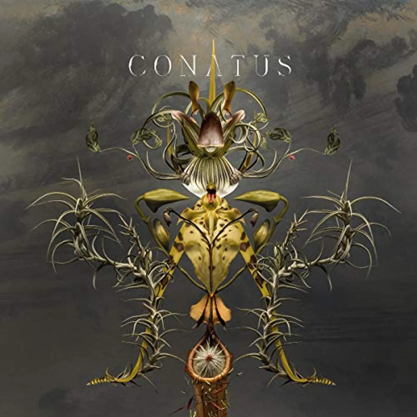Joep Beving Conatus Vinyl Record
