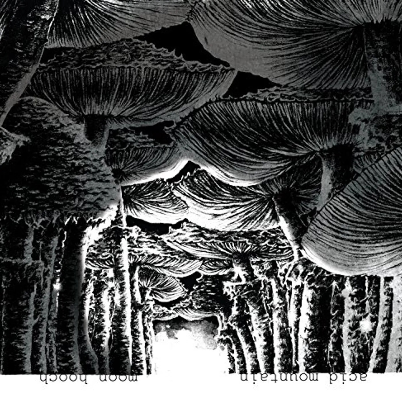 Moon Hooch Acid Mountain Vinyl Record