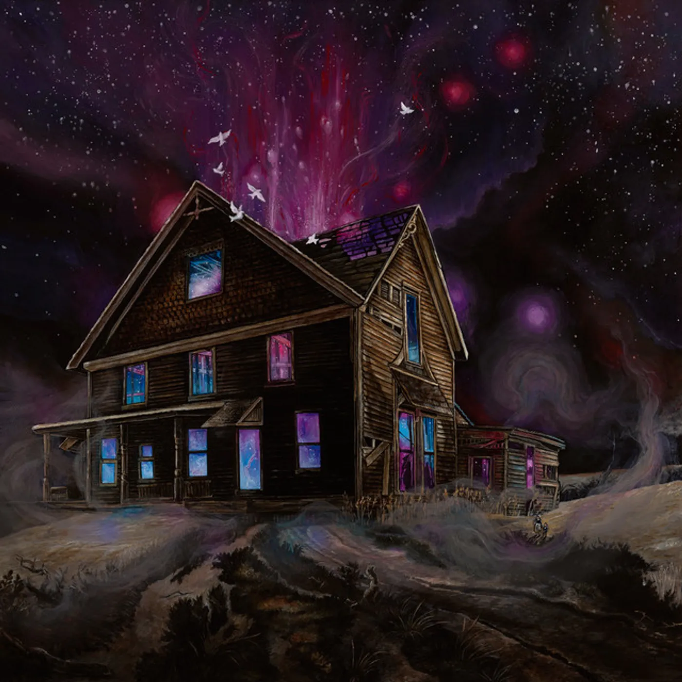 Ancestors Suspended in Reflections Vinyl Record