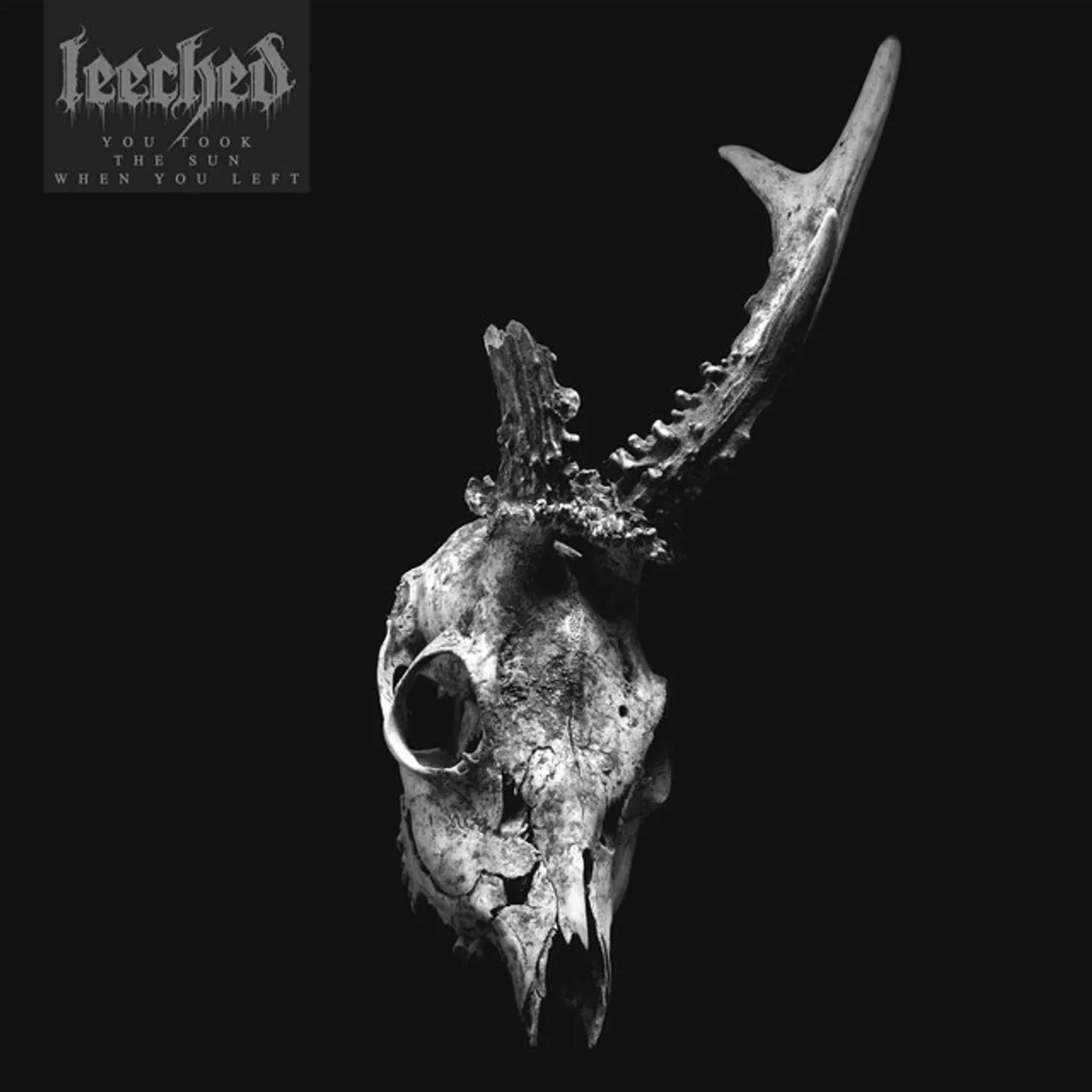 Leeched You Took the Sun When You Left Vinyl Record