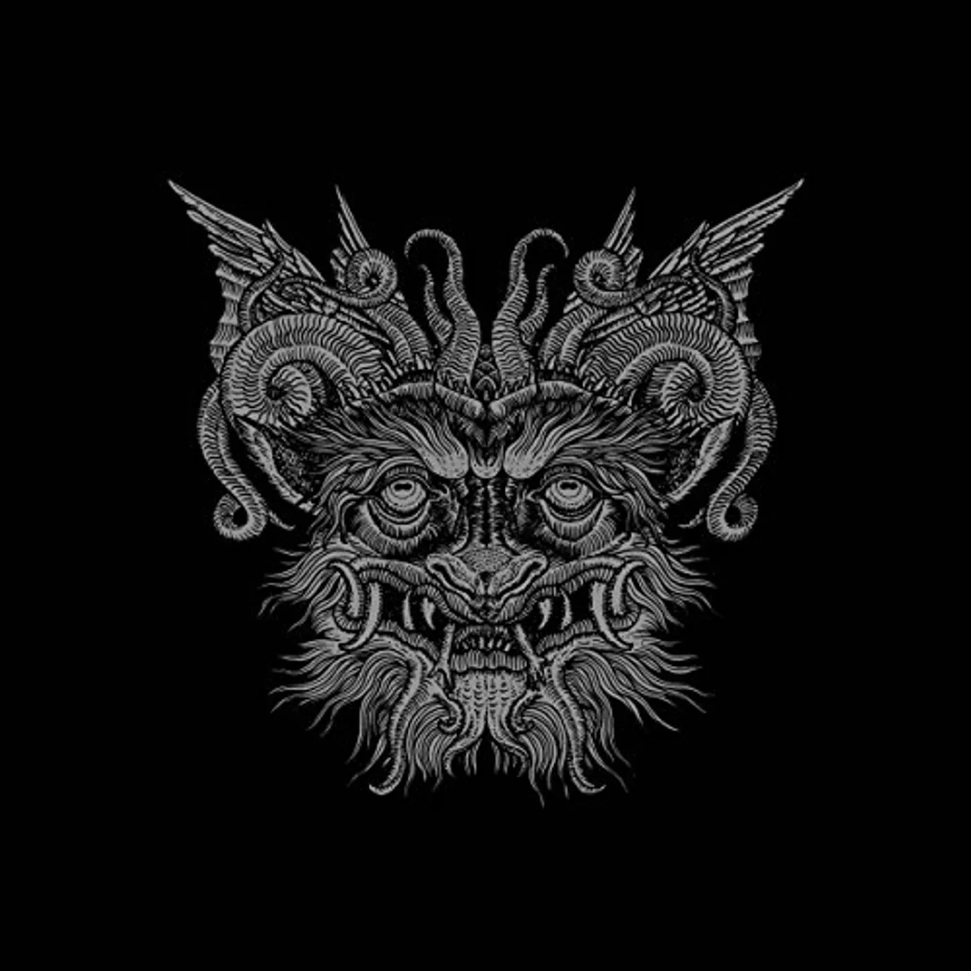 Slidhr FUTILE FIRES OF MAN Vinyl Record